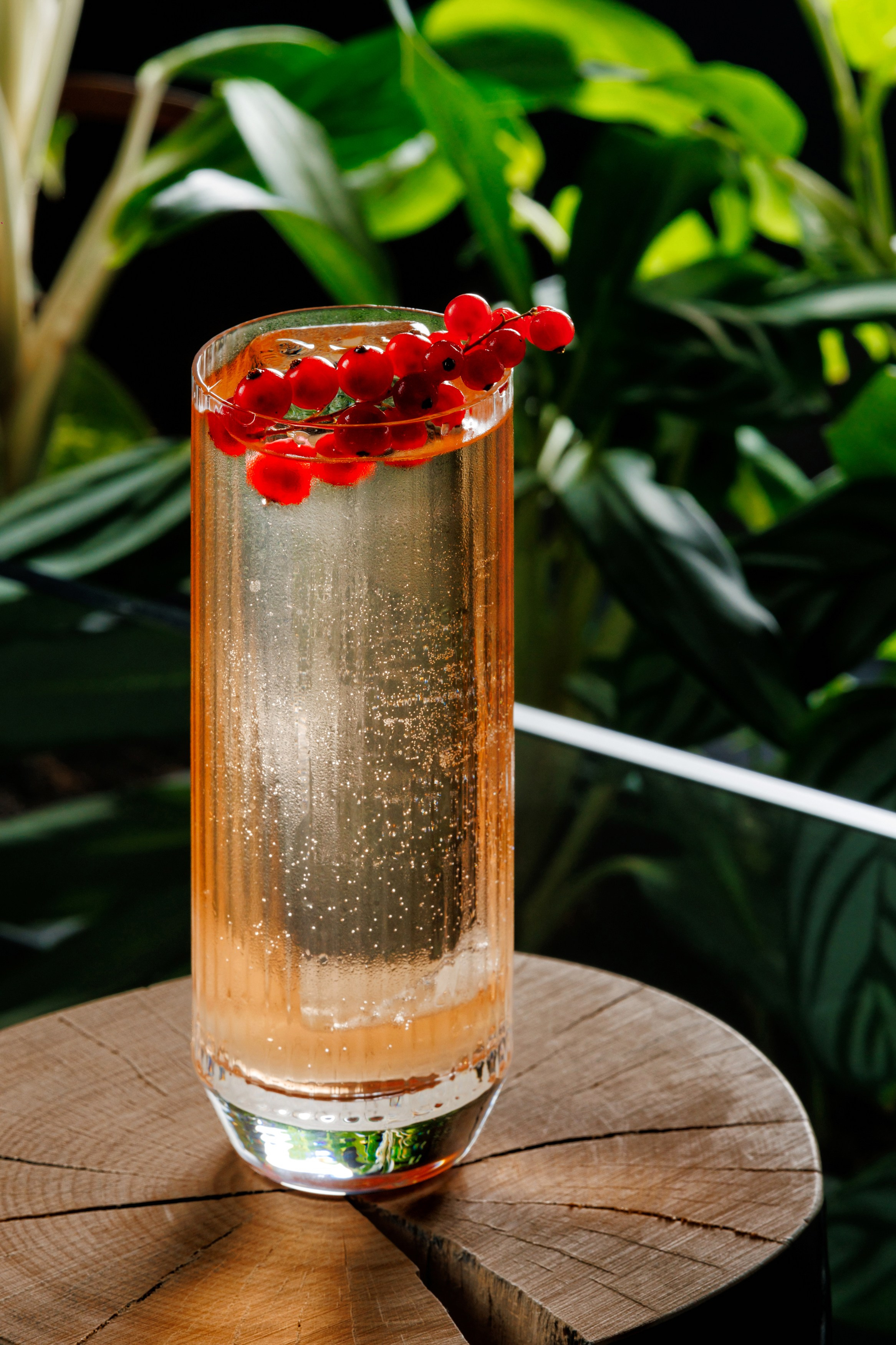 Hilton. Осеннее барное меню. Night2Day Санкт-Петербург