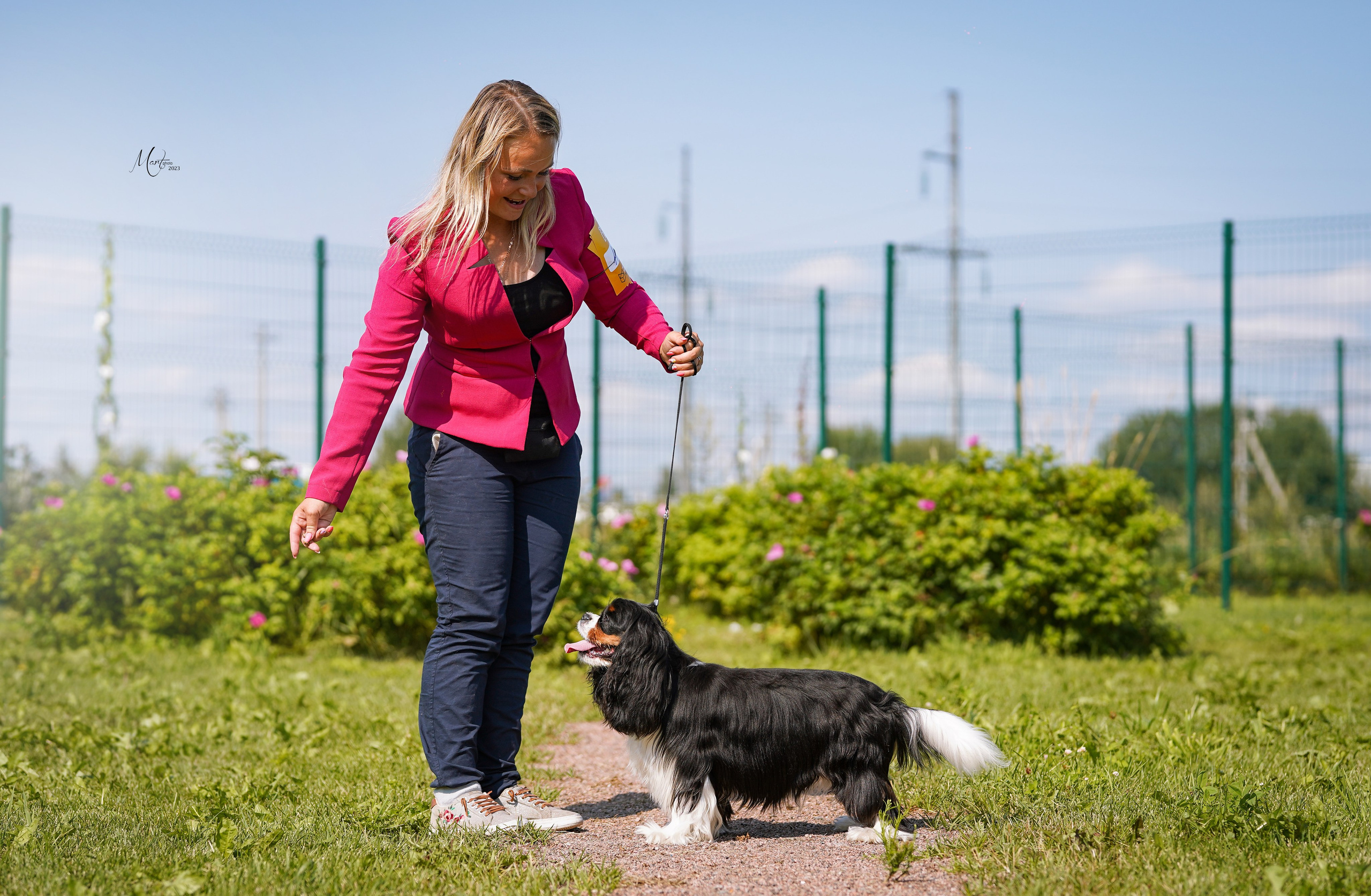 Выставки 2023. Фотограф-анималист в Санкт-Петербурге Яна Мартынова