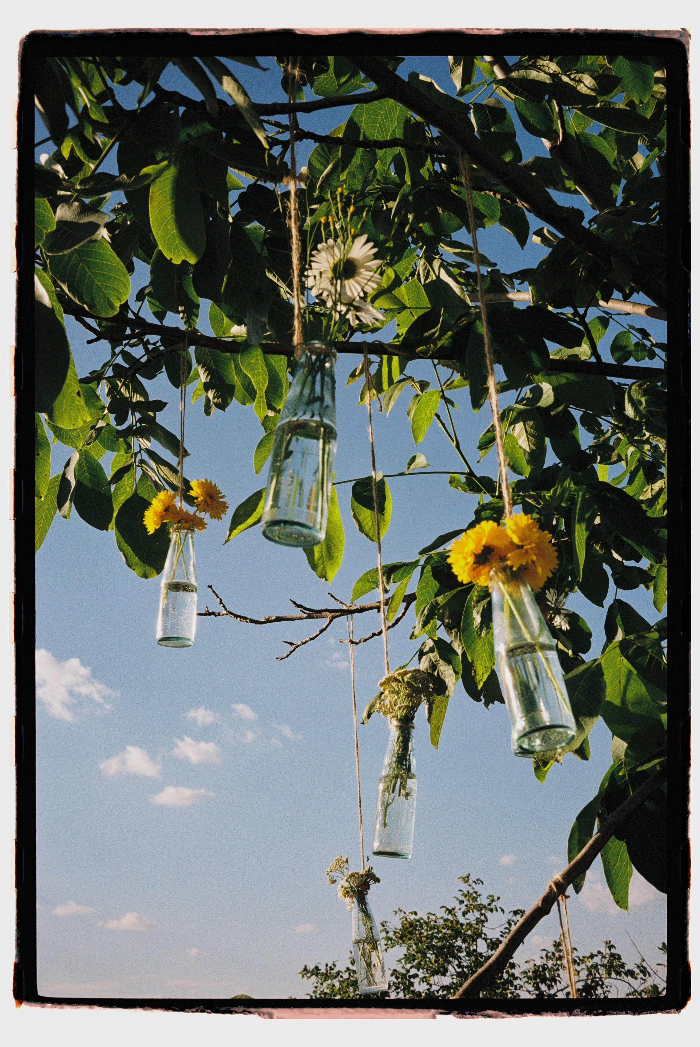 Love. Regina Platonova