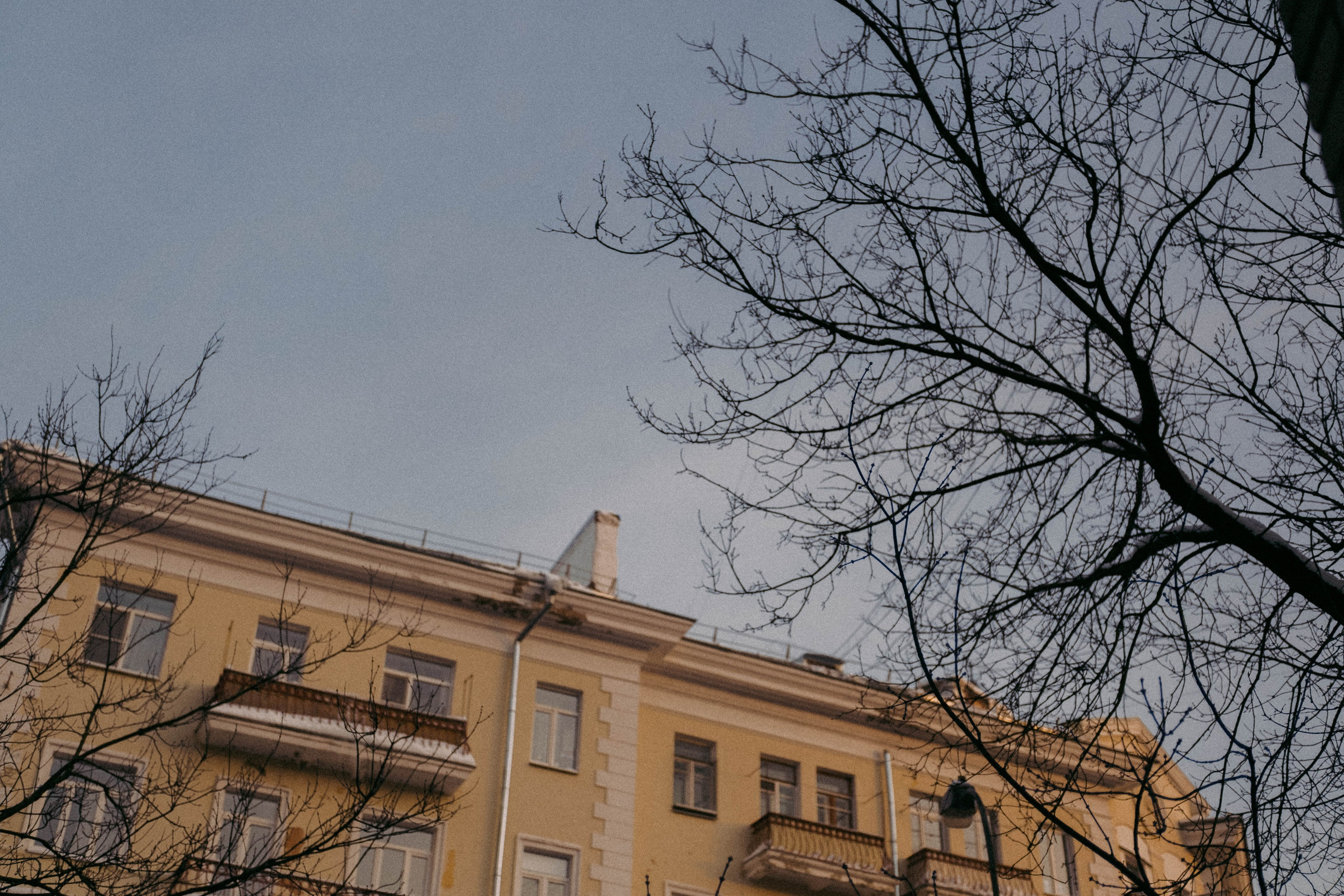 Лика и Клео. Свадебный фотограф Оля Григунова