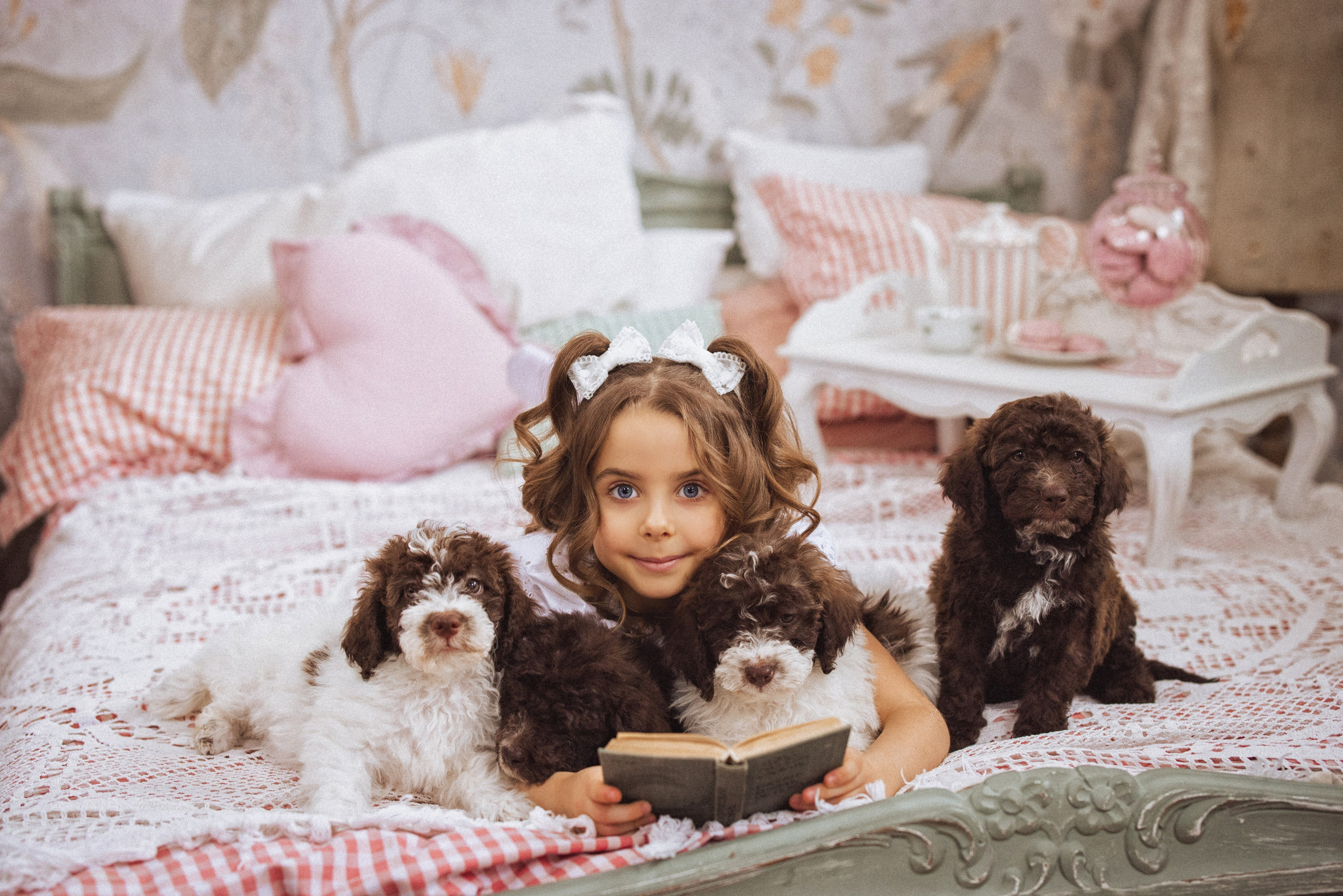 Фотосессия с щенками Лаго́тто-романьо́ло, в Винтажной фотостудии город Краснодар. Семейный и детский фотограф в Краснодаре Анна Трашкова