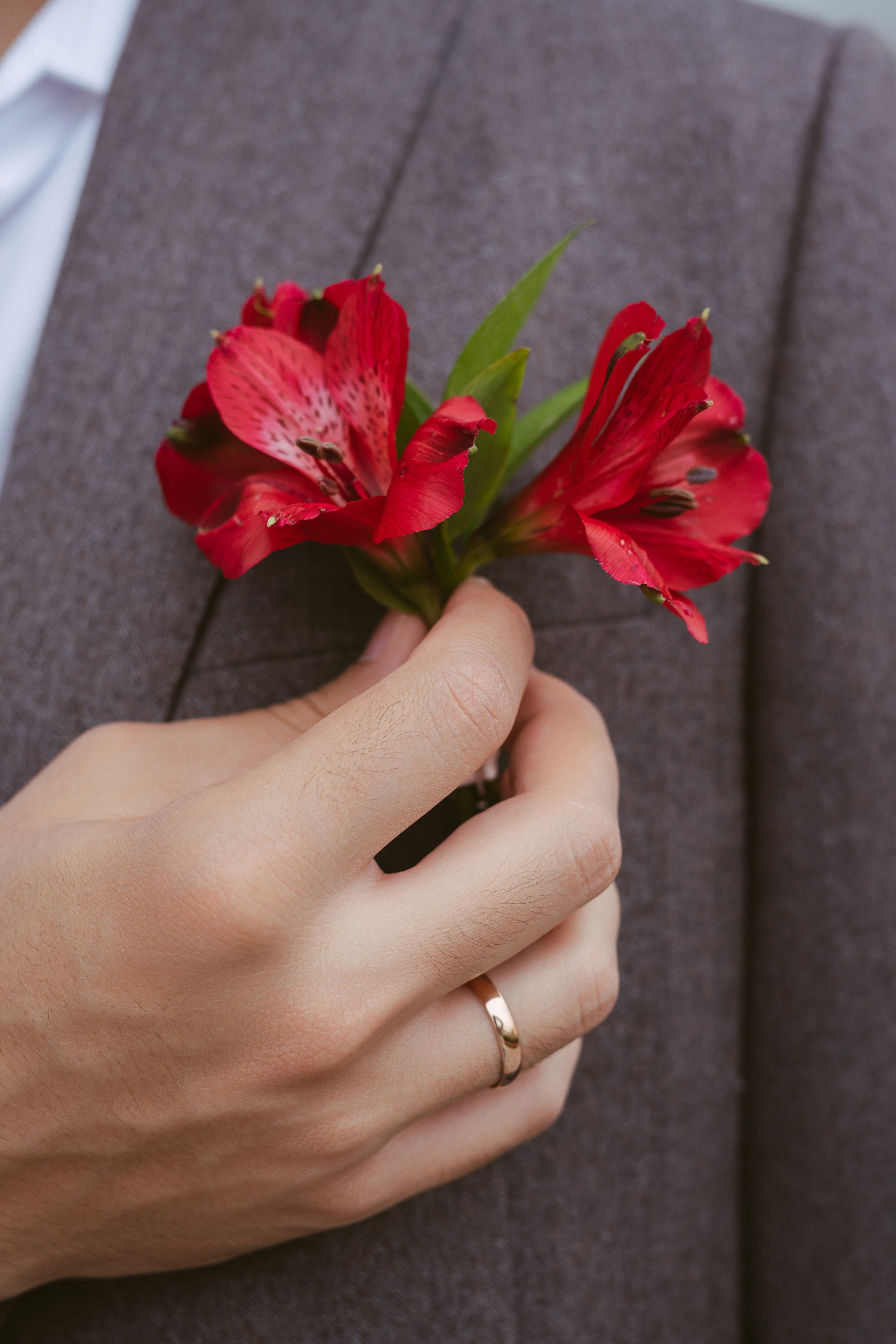 A&T. Свадебный, репортажный, семейный фотограф Елена Брюхова