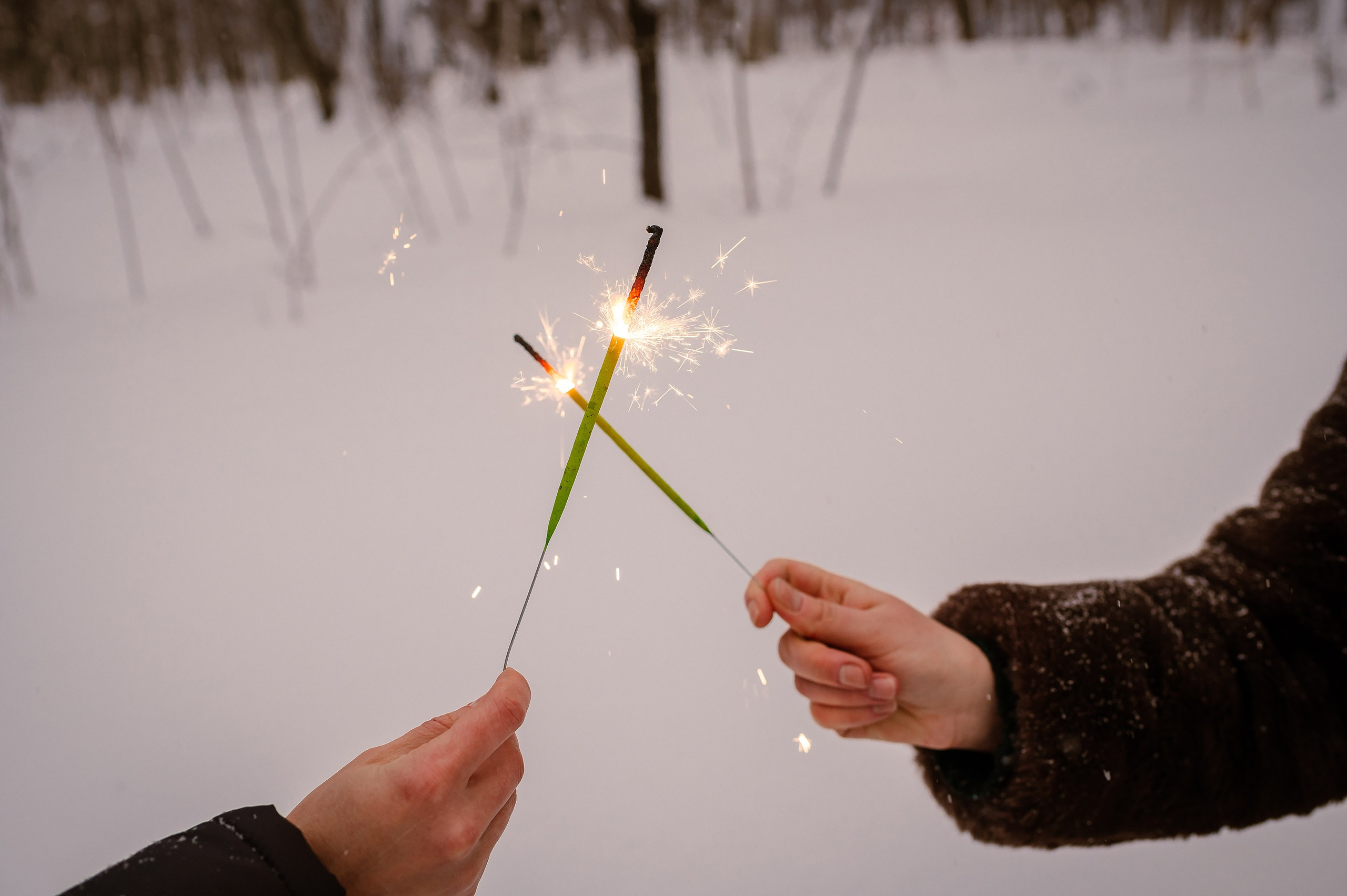 Зима. Фотограф Елена Новикова