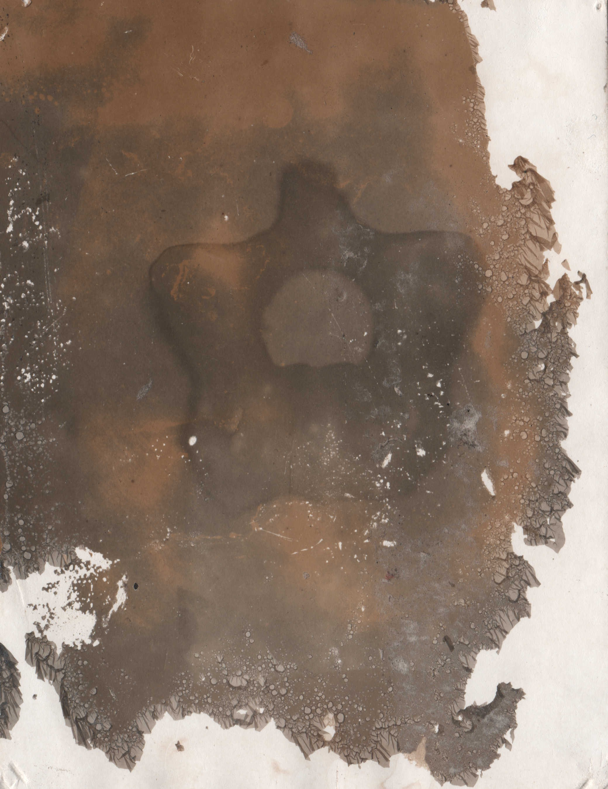 Фото-альтернатива. Данил Андреев, мультидисциплинарный художник, Санкт-Петербург