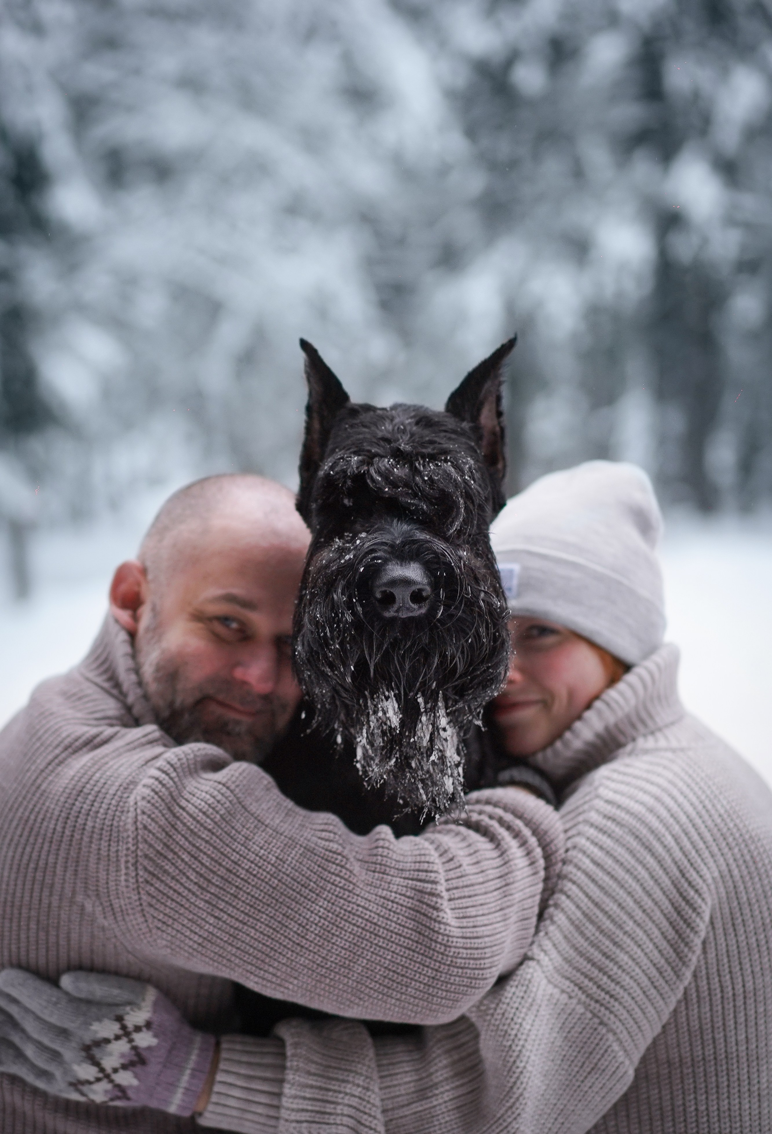 Оля Миша и шнауцеры. Фотограф-анималист в Санкт-Петербурге Яна Мартынова