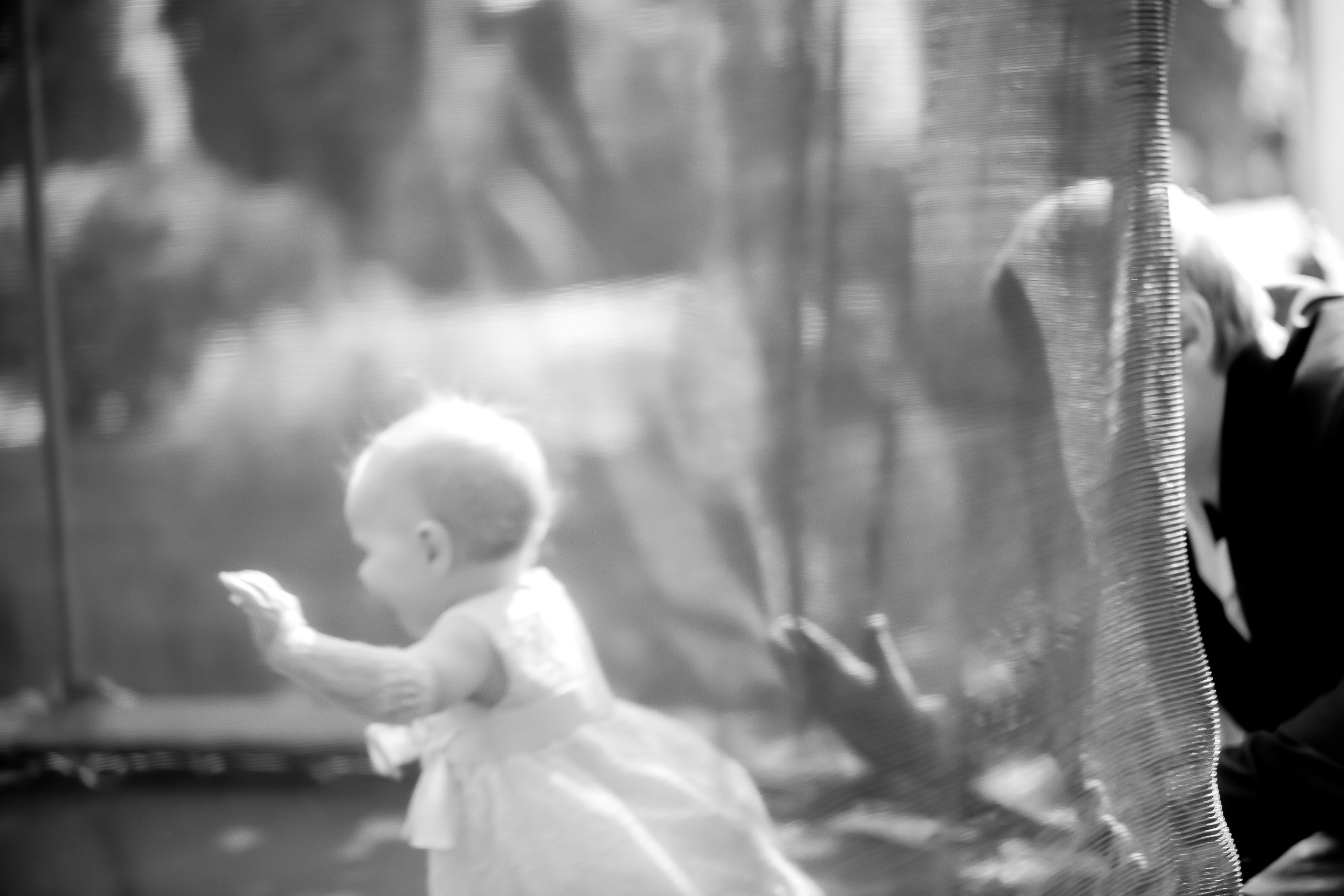 1 год. Максим Матвийченко и Виктория Басова профессионалы своего дела