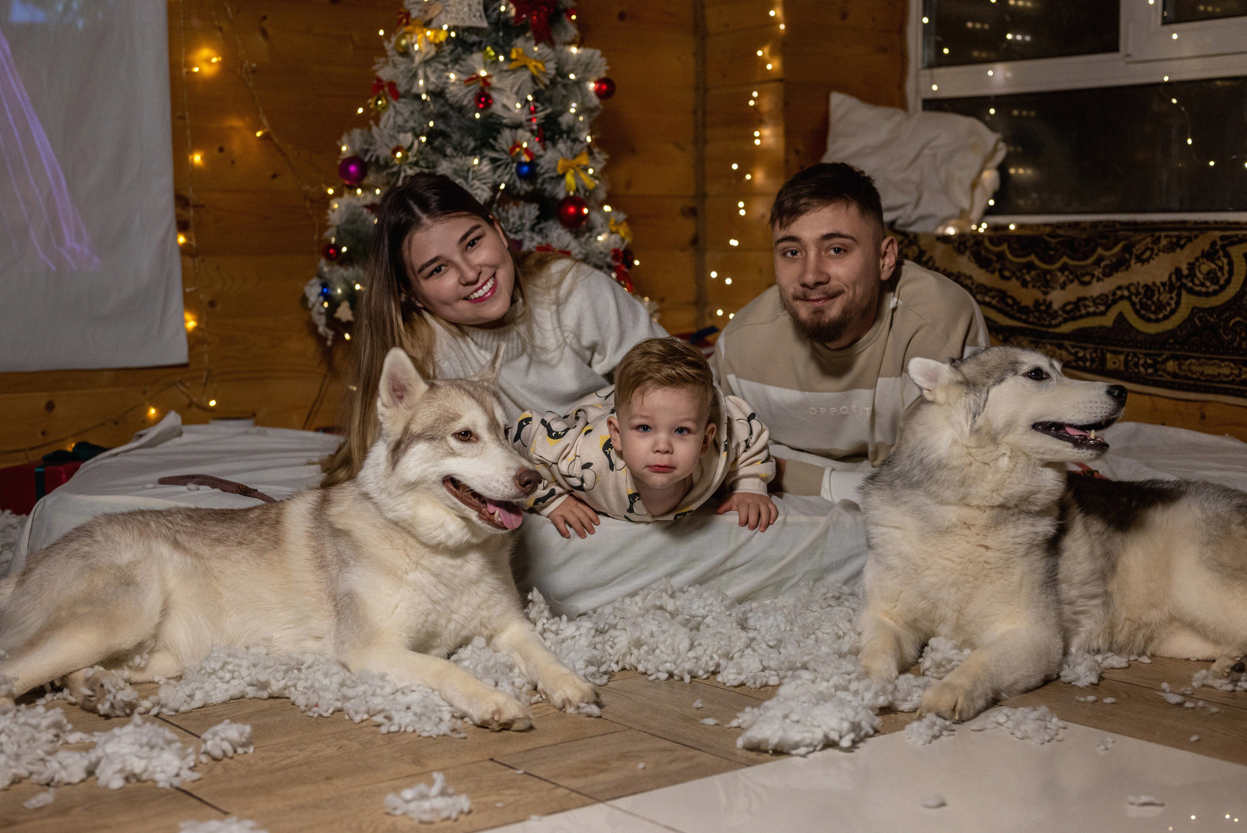 Фотопроект с хаски 2024 г. Фотограф в городе Салават