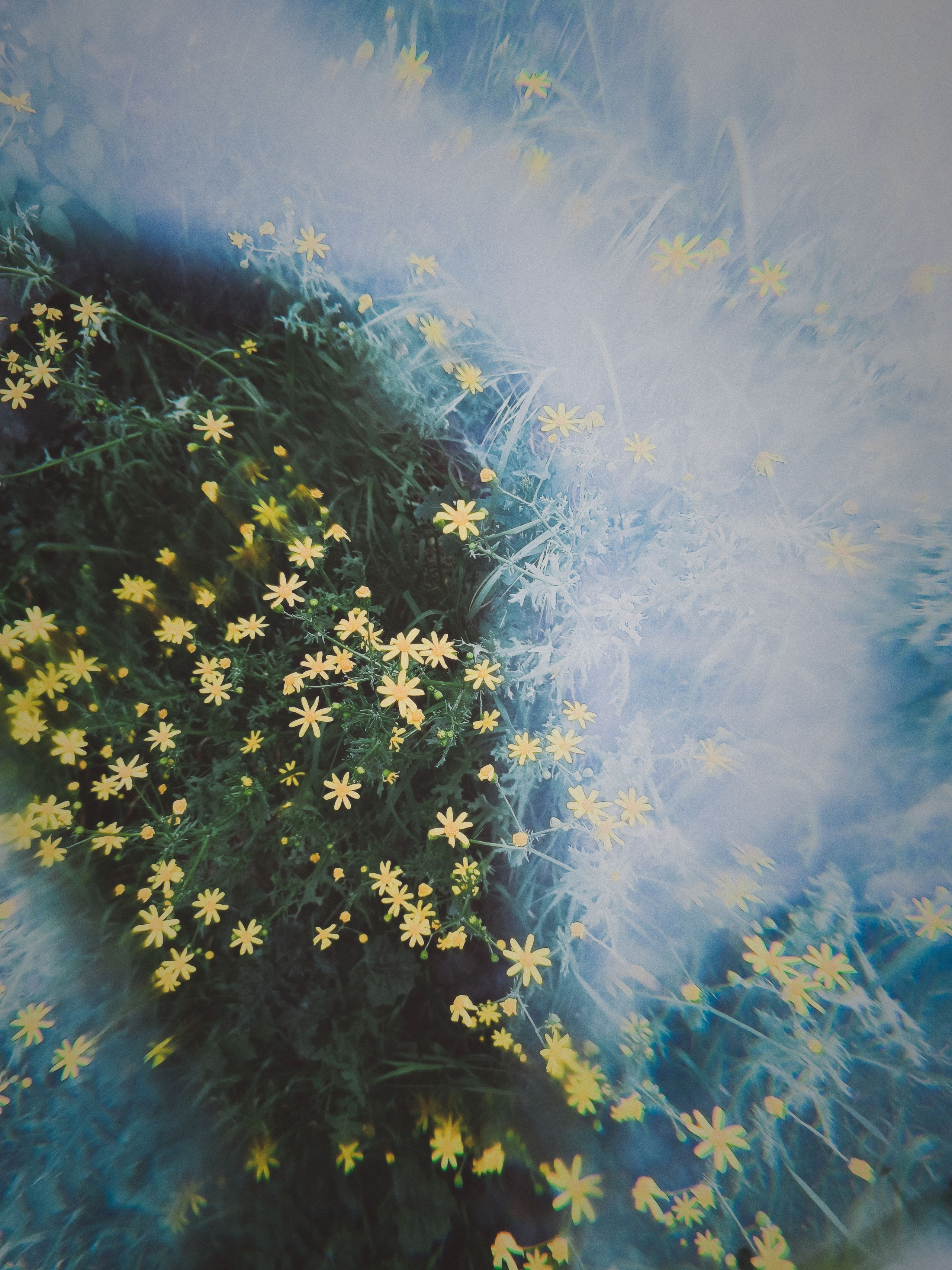 Nika Laeva. Personal Travel - Photo №4.