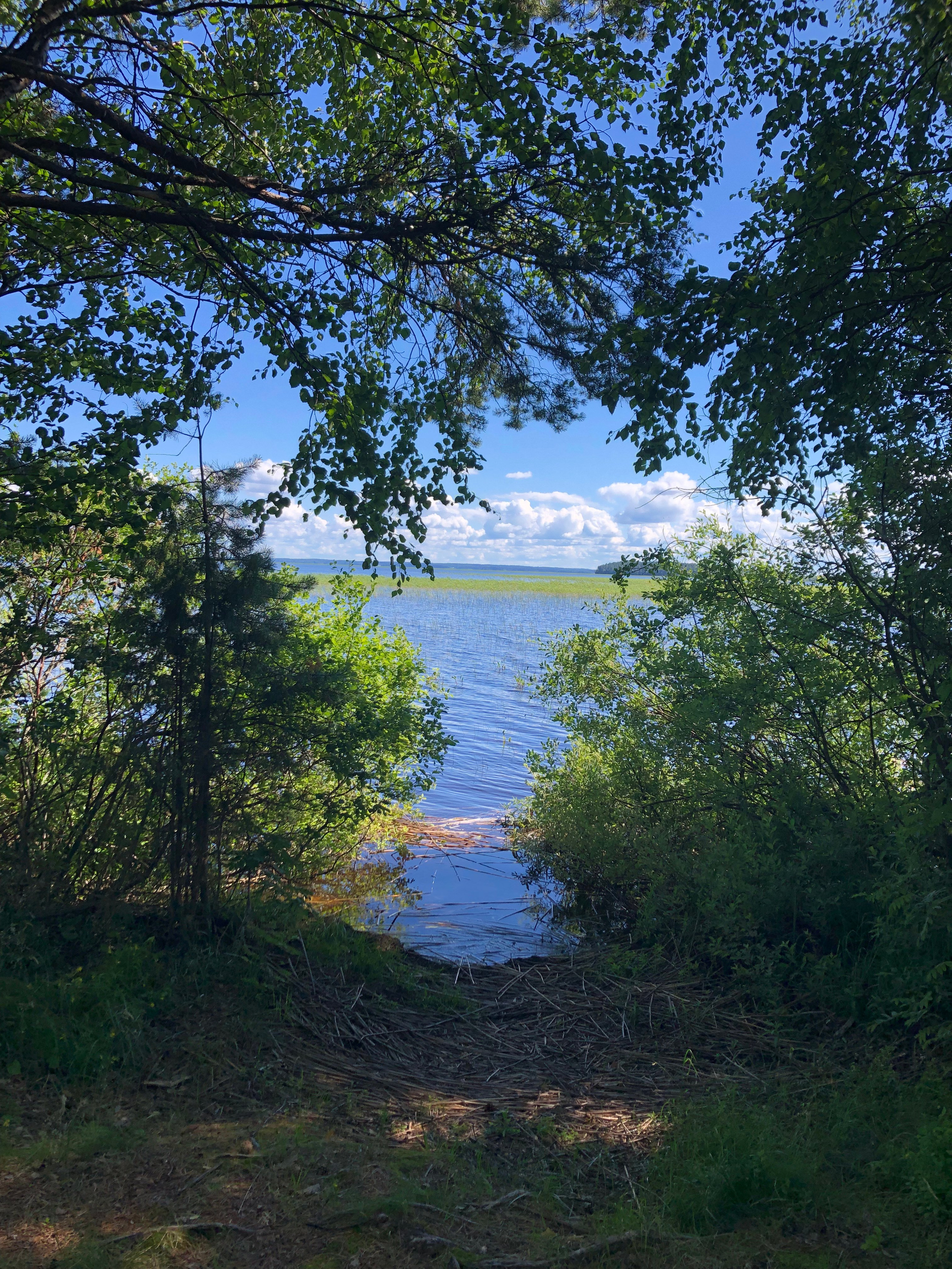 Земельный участок в Лахте