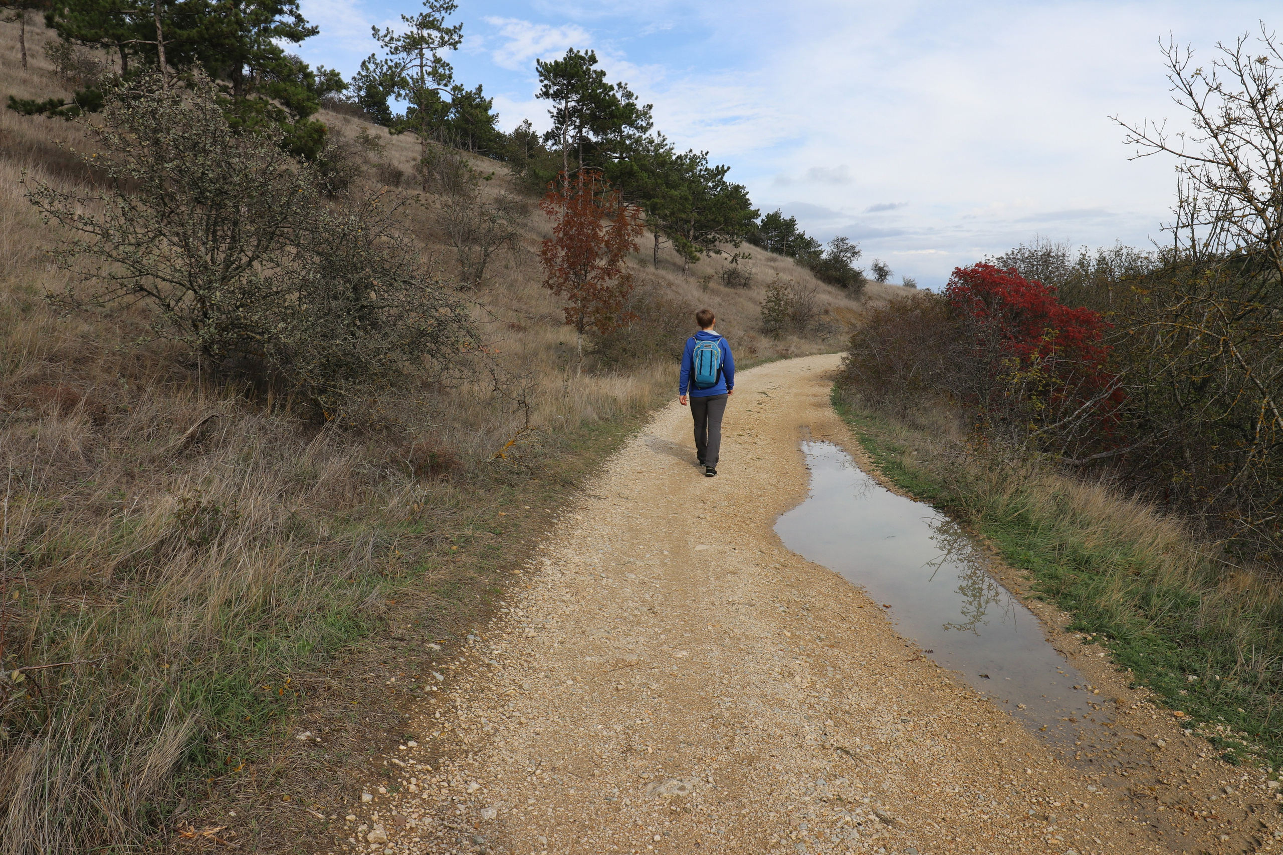 Крым. ЮБК (Судак, Карадаг). Ноябрь 2020. Путешественник-фотограф из Санкт-Петербурга Татьяна Свистулина