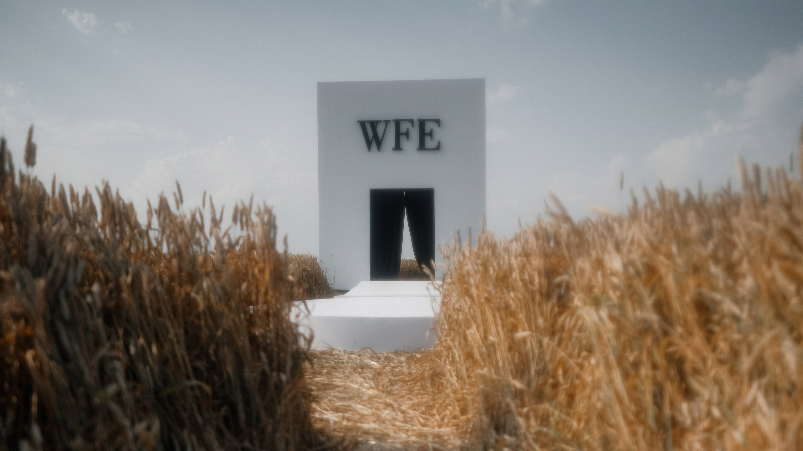 WFE. Свадебный фотограф Артем Ковалев