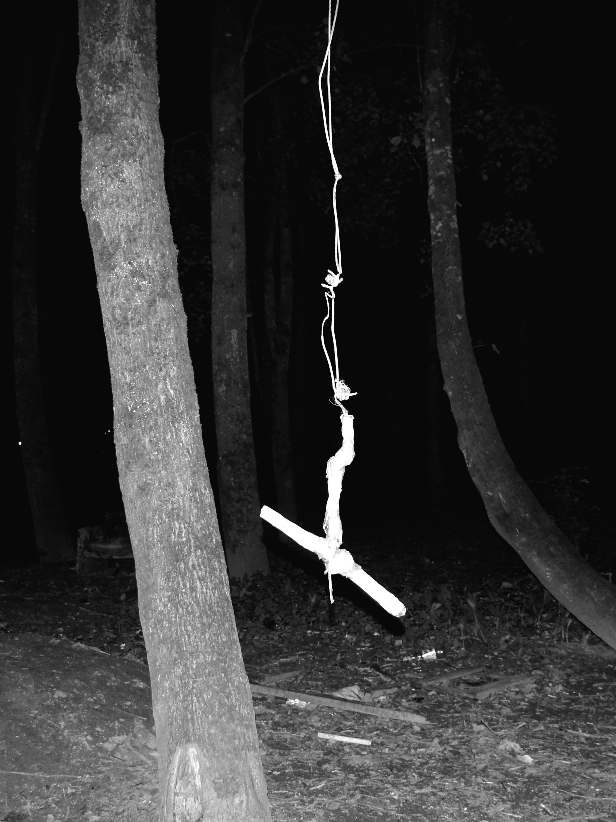 Все фото. Ева Мецгер — фотограф