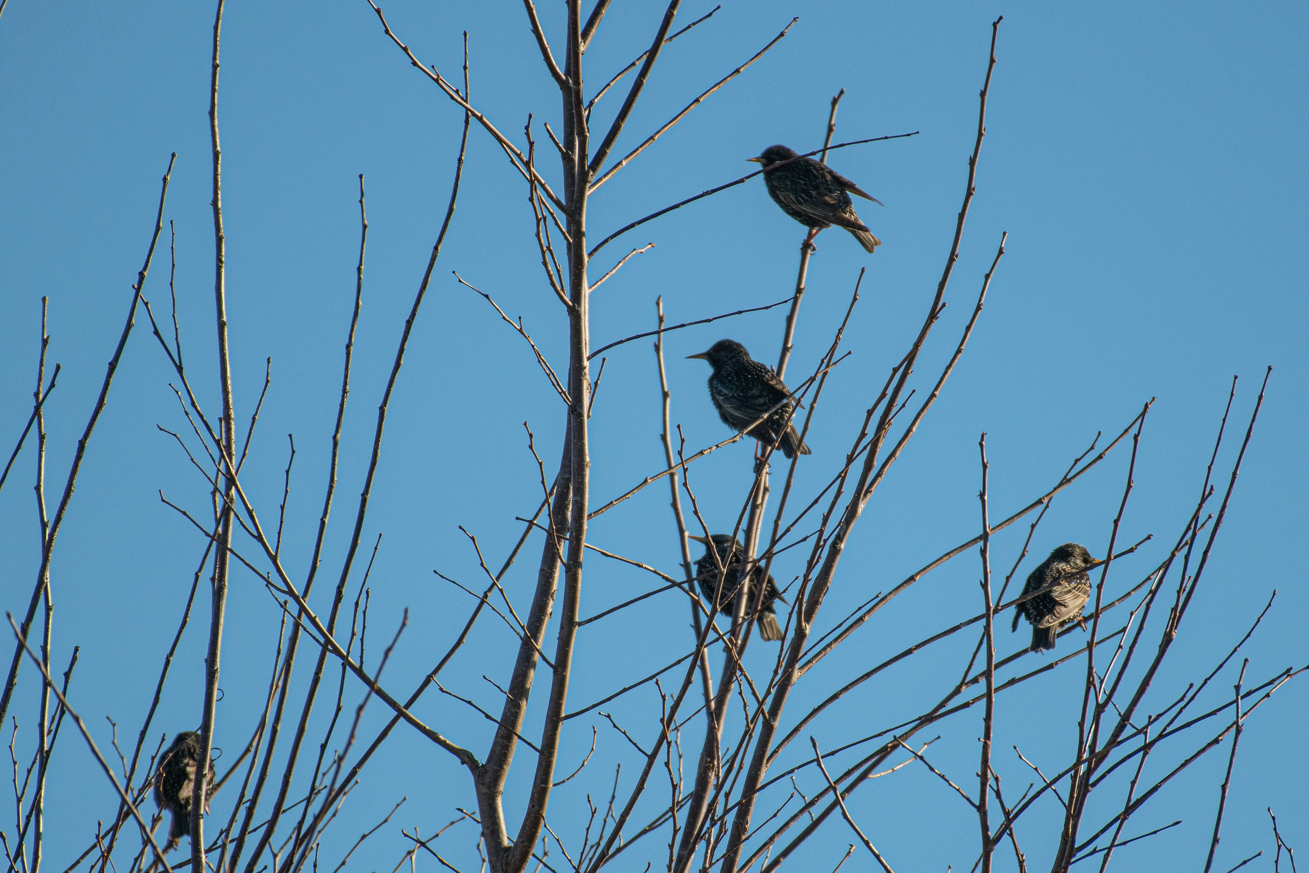 Фотоохота. Репортажный фотограф в Ижевске Константин Ившин