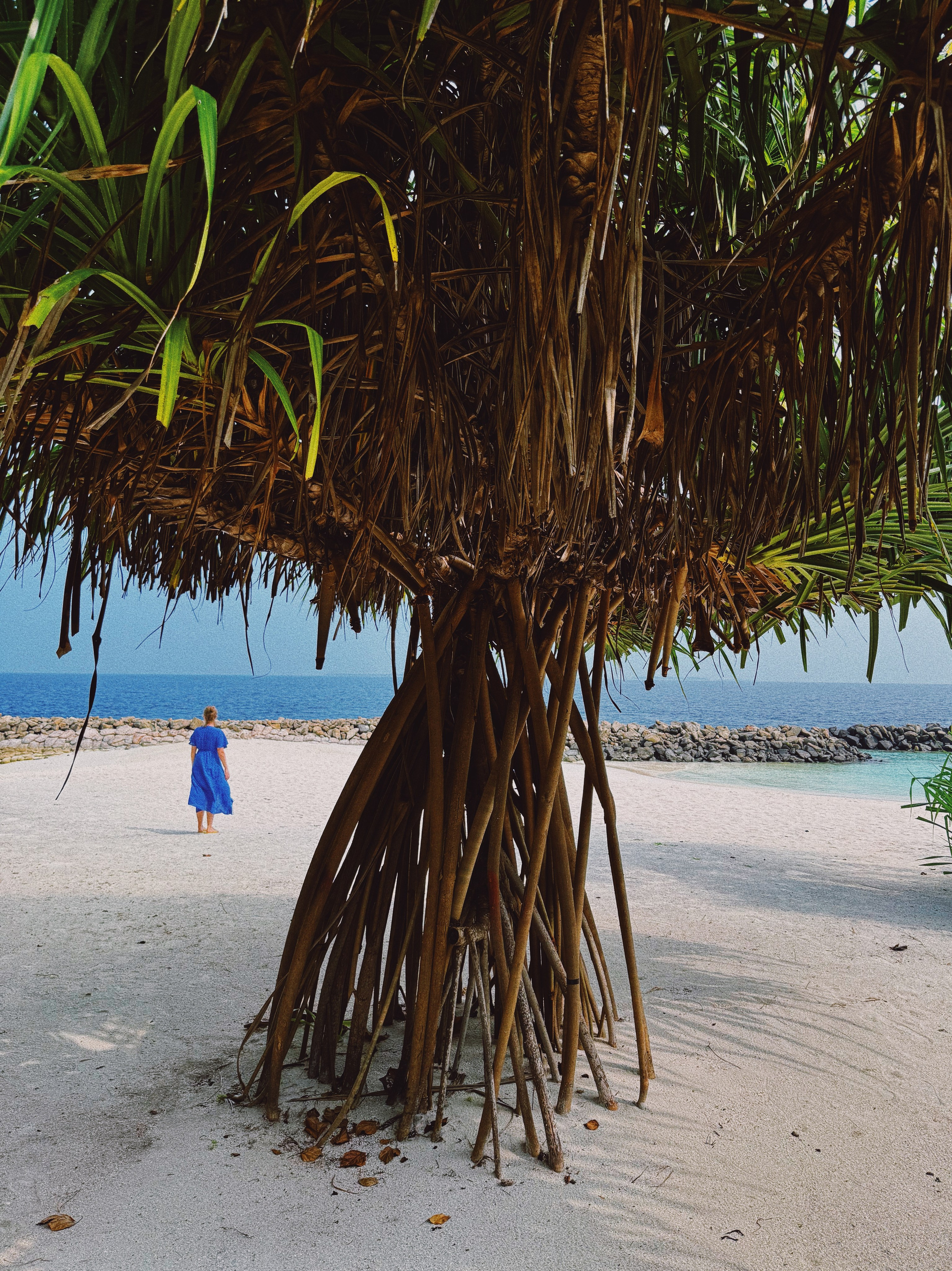 Postcards. Мария Сосновская, фотограф, Москва. Семейные, личные, контент съемки