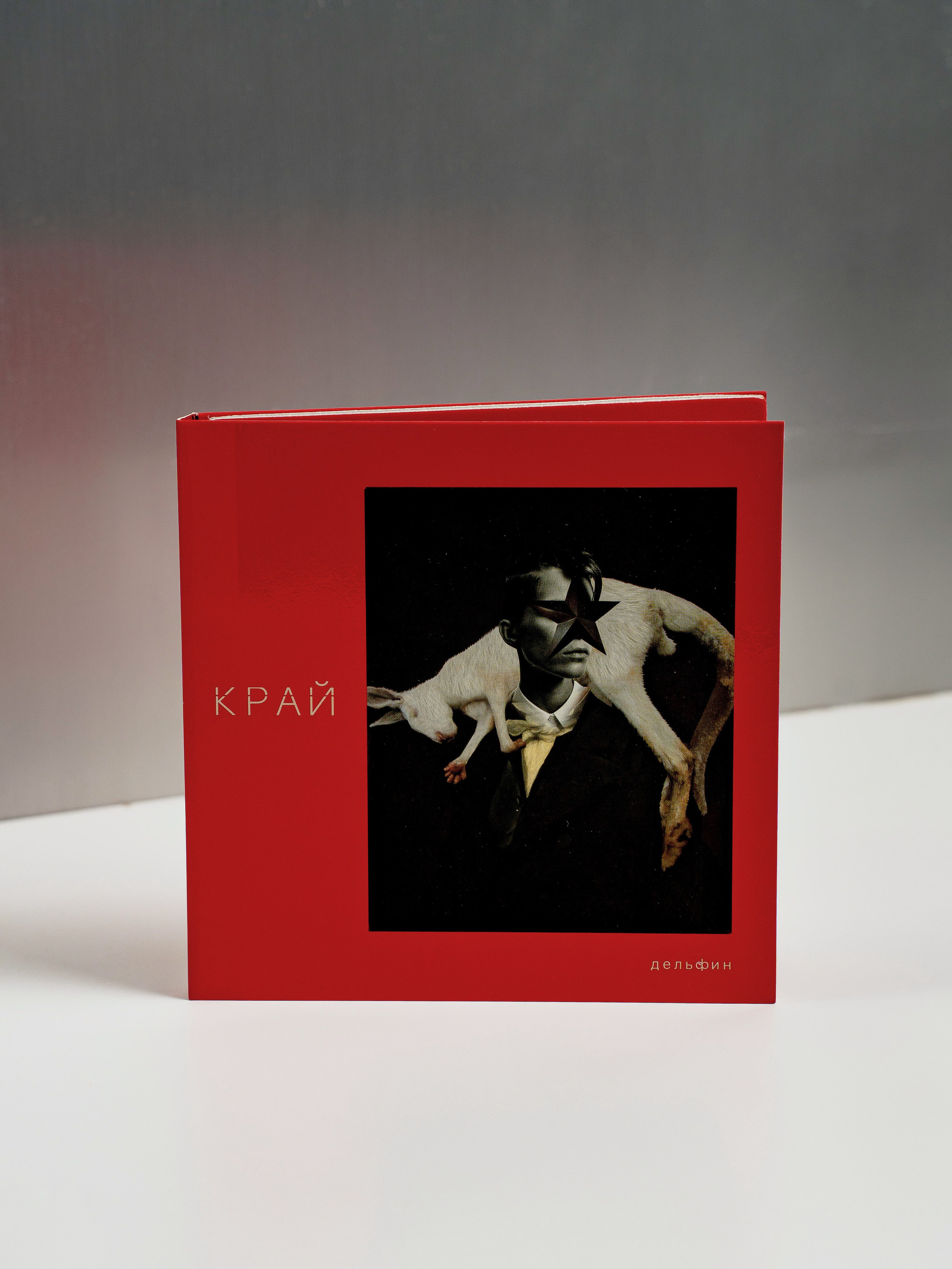 Дельфин. Портретный фотограф Москва Белогорцев Сергей