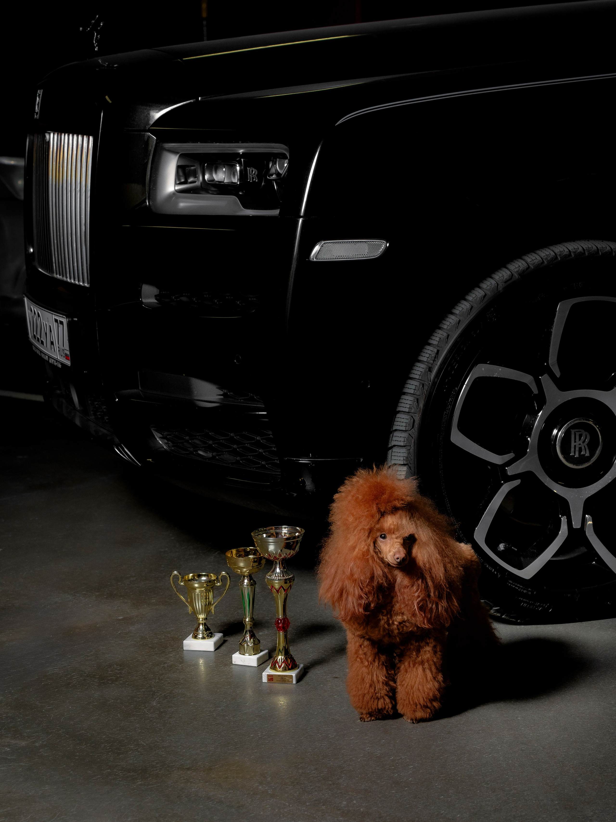 Портретный фотограф Москва Белогорцев Сергей