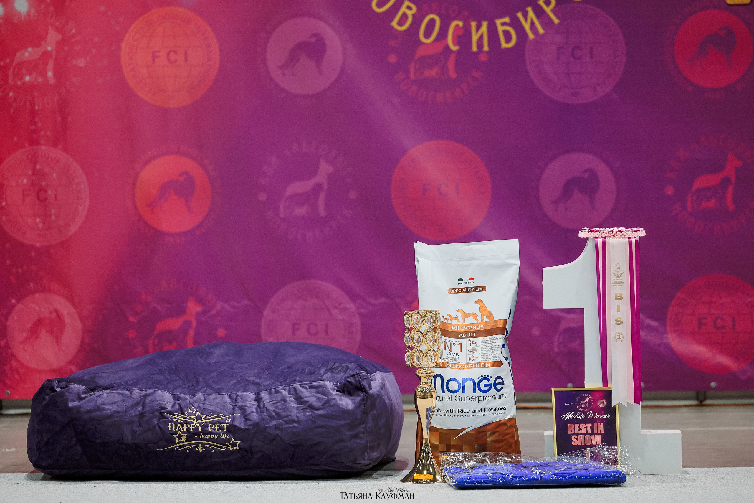 28-29.03.2026 Рейтинговая выставка в Новосибирске. Фотограф Анималист из Новосибирска Татьяна Кауфман