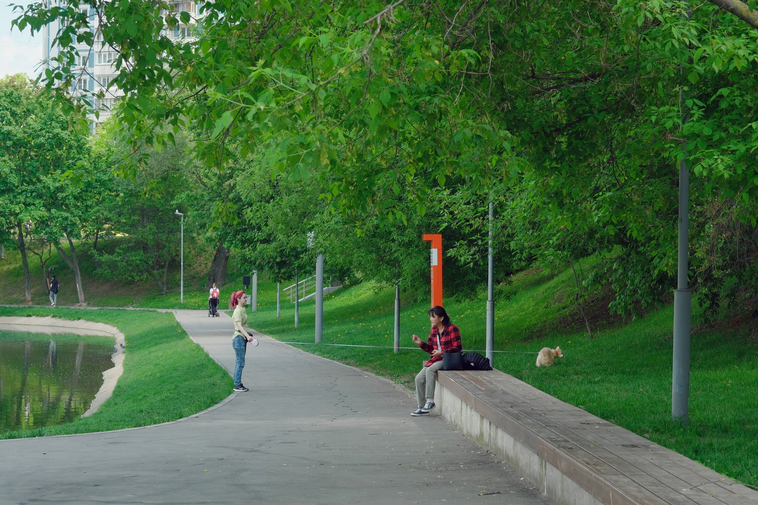 Кировоградские каскадные пруды 2024. Улица, люди, жизнь…