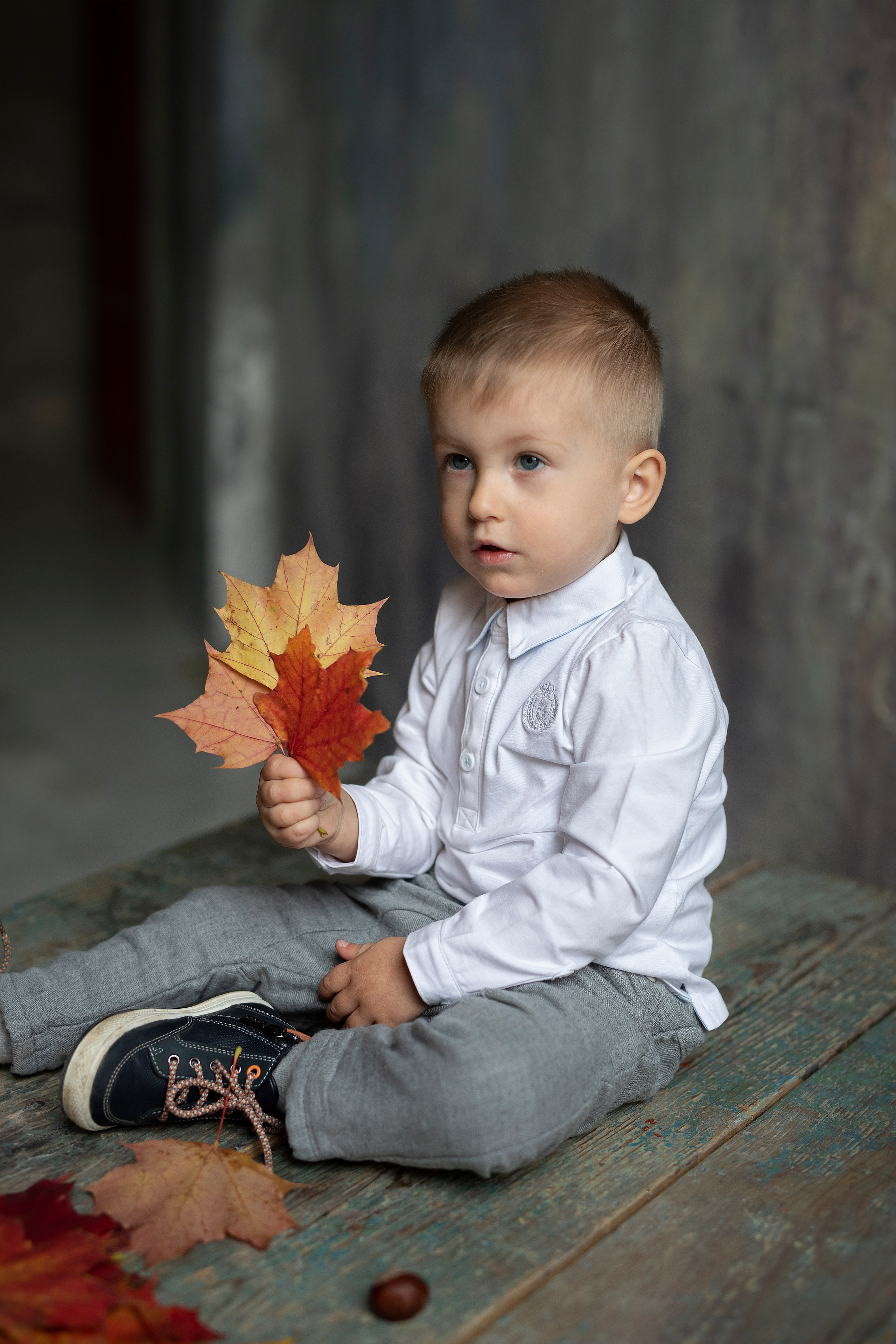 Осеннее настроение. Фотограф в Москве Надуева Татьяна. Женский портрет, детский портрет, с