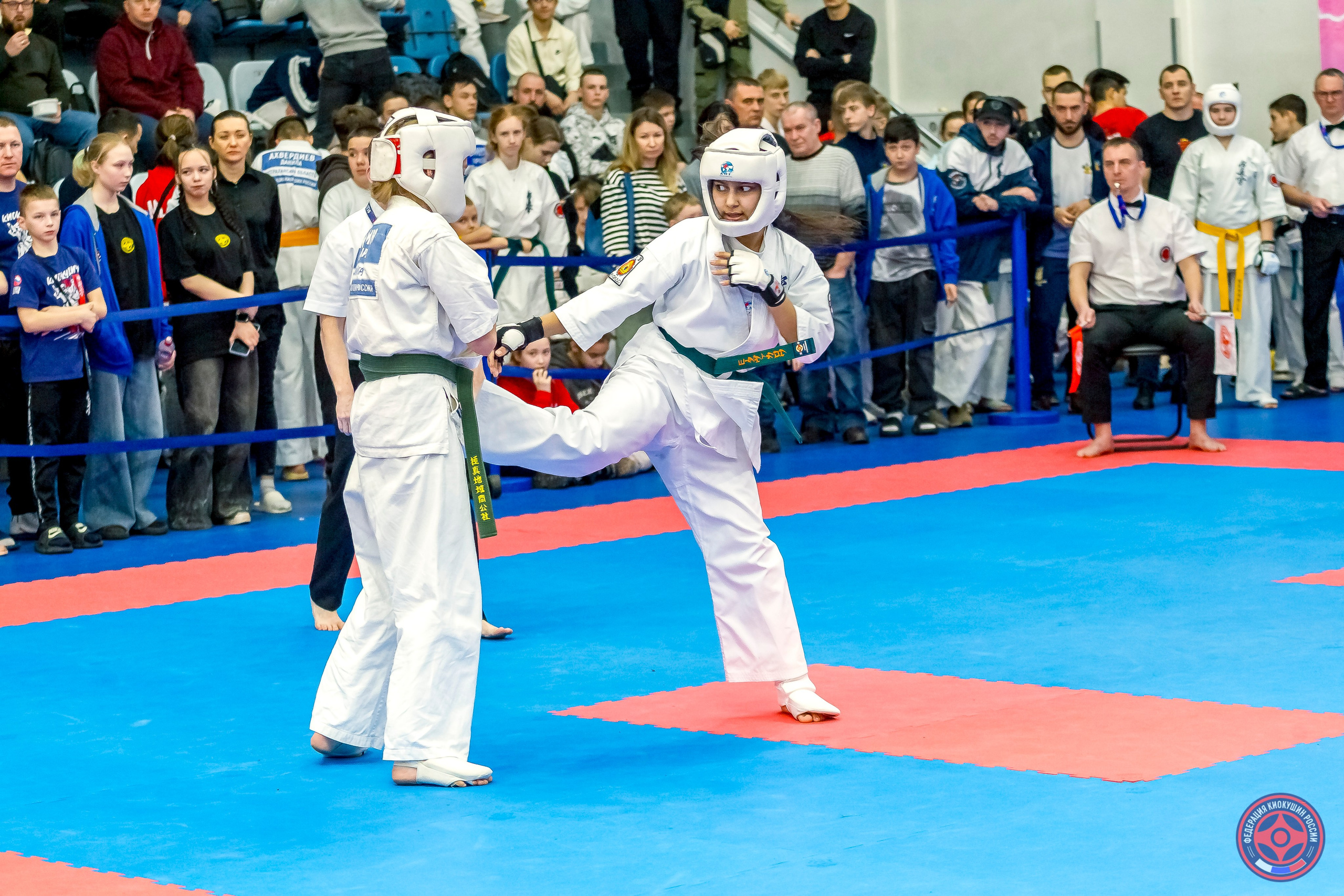 Международный турнир по киокушин «Открытый кубок Seiken». Репортажная съемка в Москве и области. Анималистика