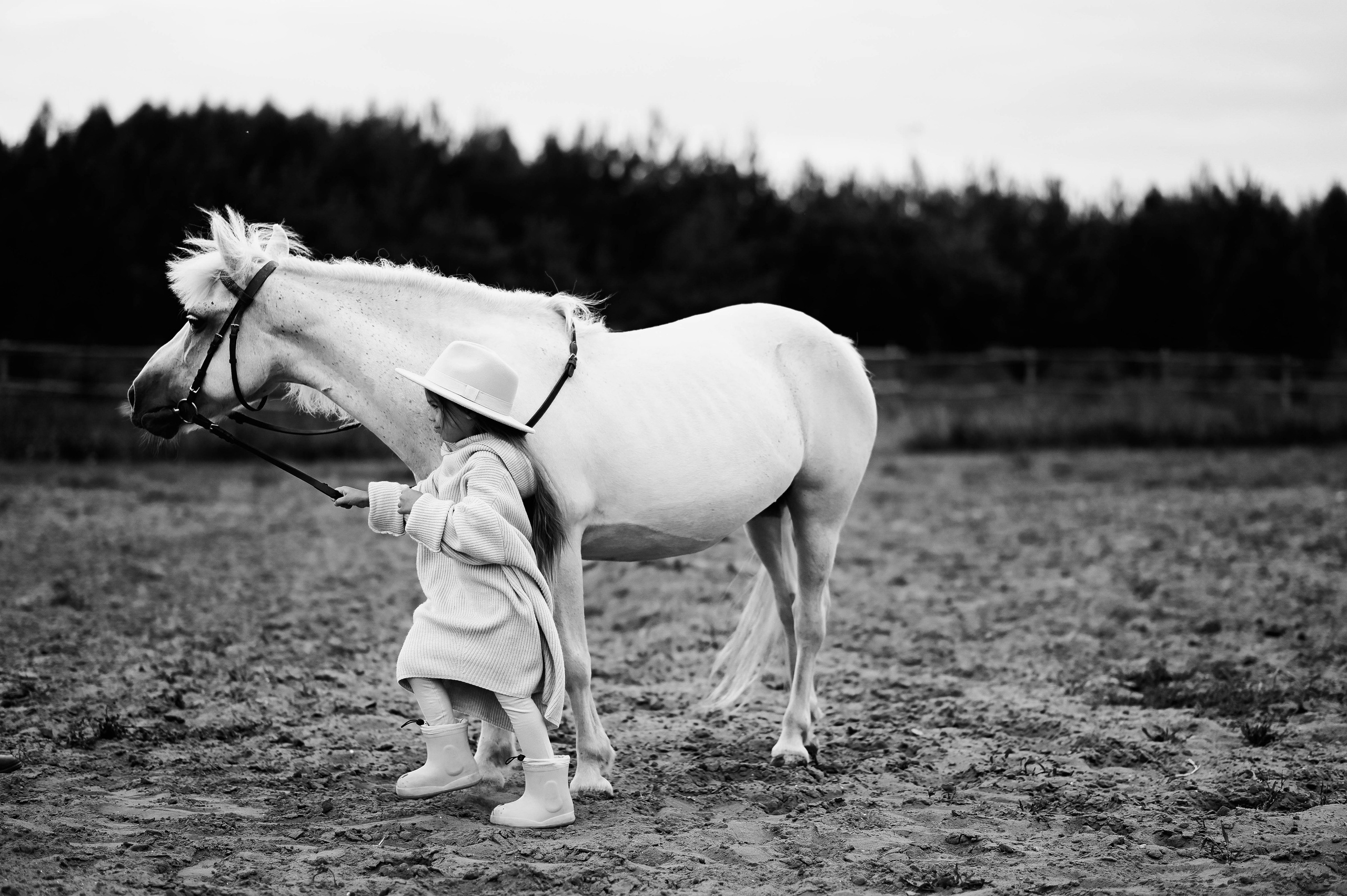 София. Фотограф Казань