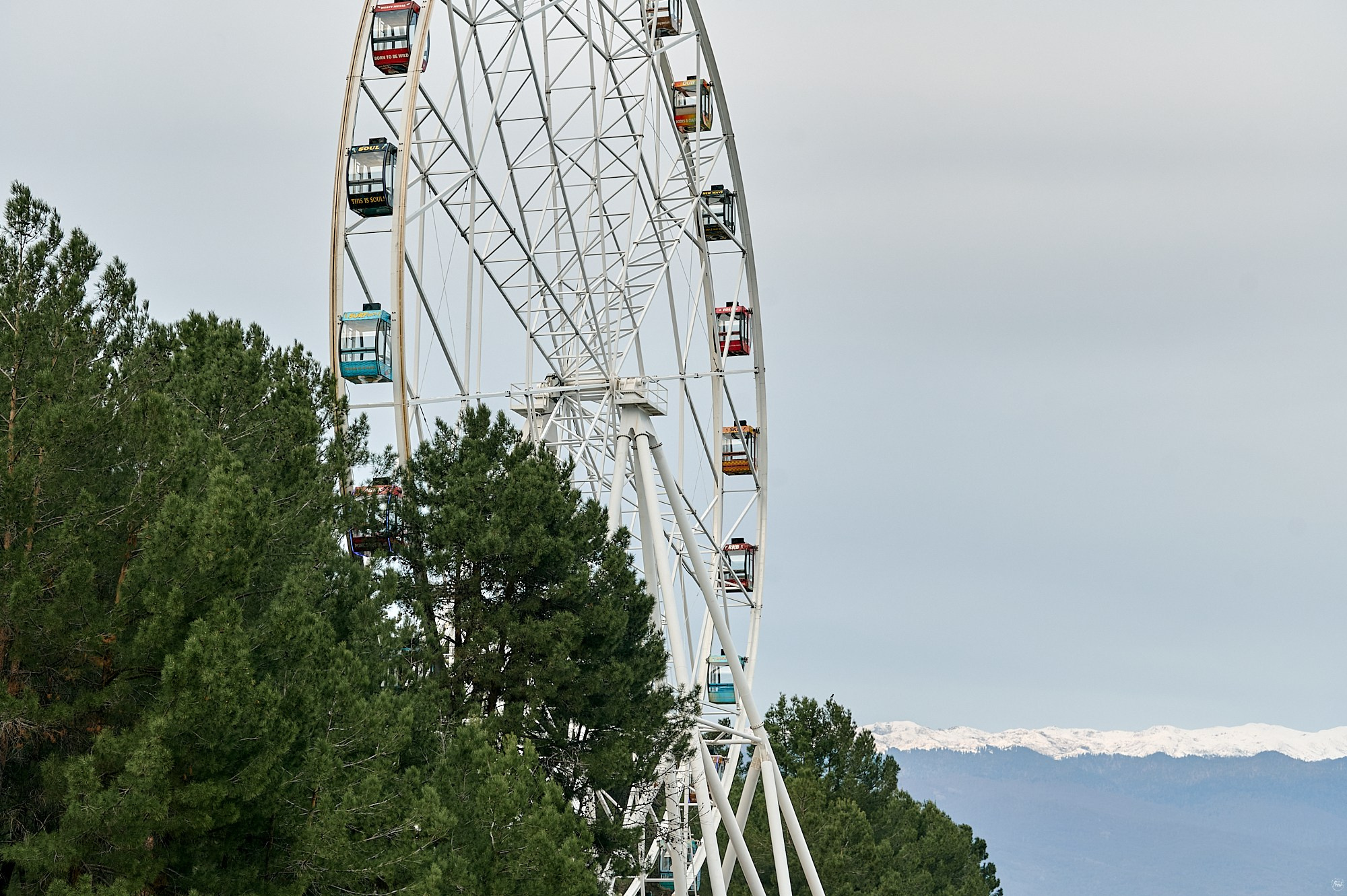 Пицунда, Абхазия. Декабрь 2024. Фотографии отовсюду и обо всем