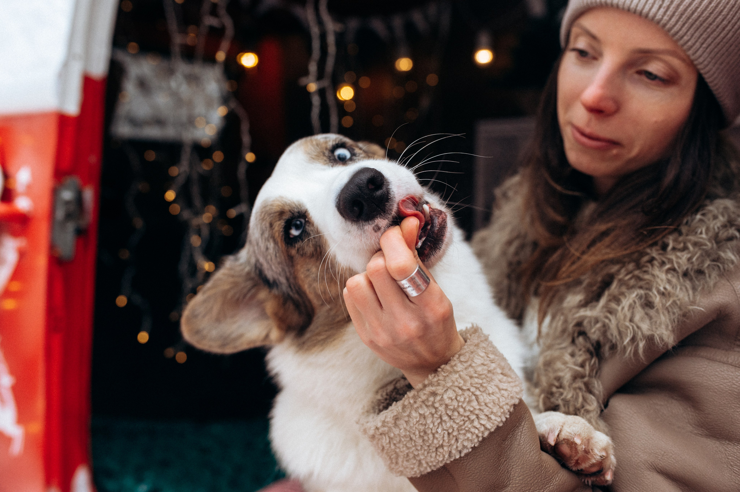 Маша и Дэф. Фотограф анималист в Москве Ольга Агушева