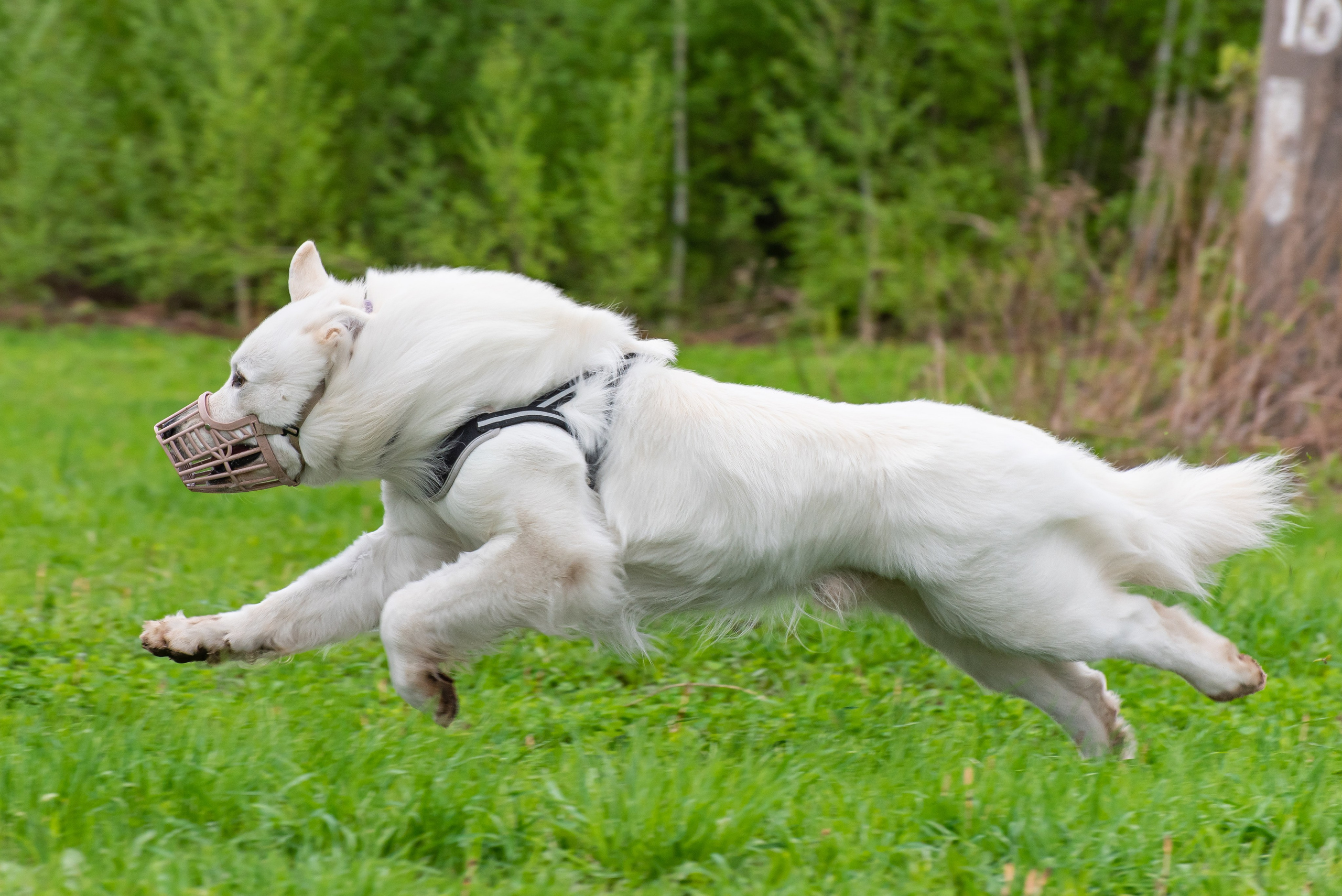 Фотографии с Курсинга. Фотограф Макс Огурцов в Нижнем Новгороде