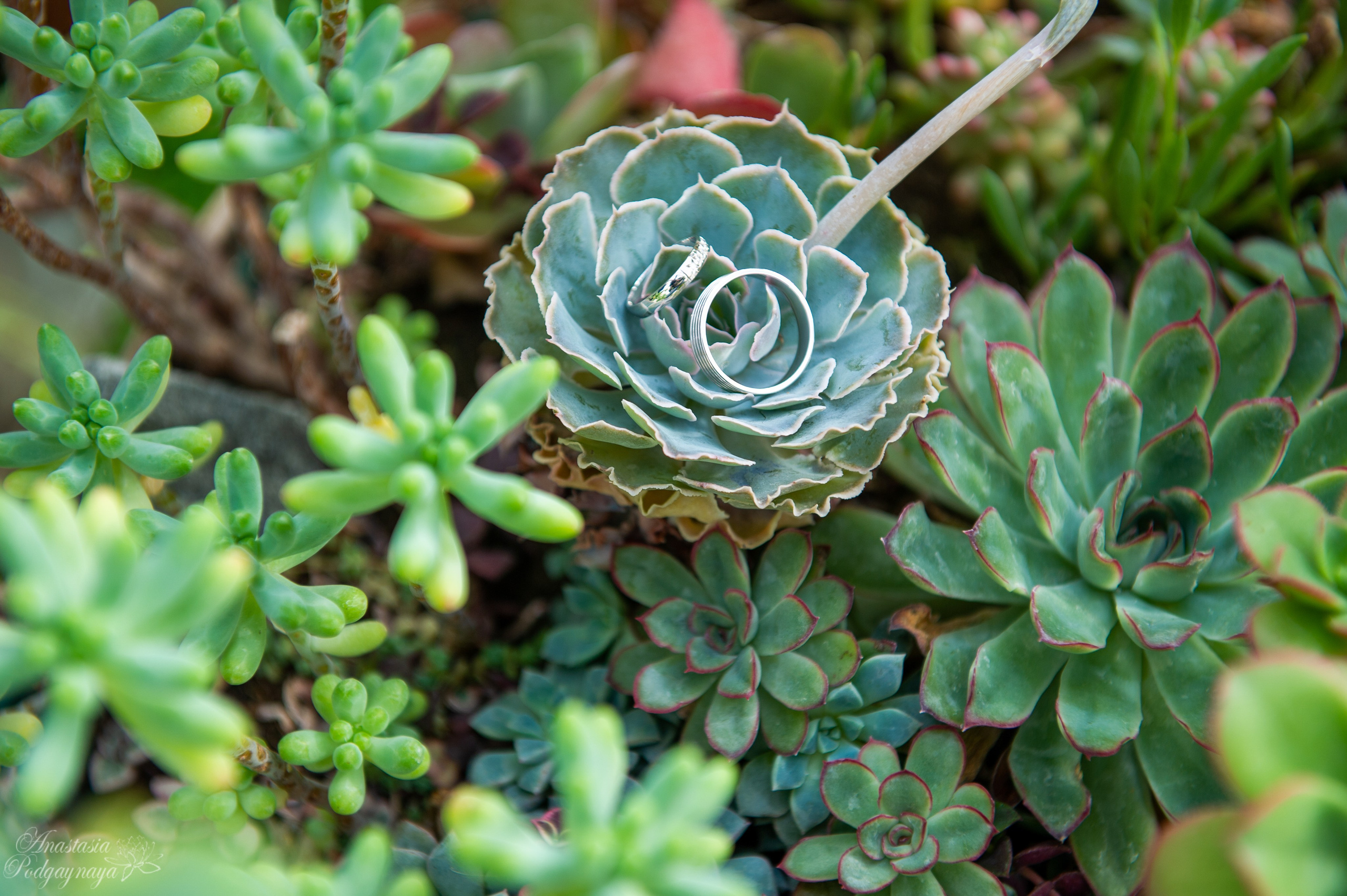 Саша и Арина. Семейный и женский фотограф, контент фотосессия в Екатеринбурге