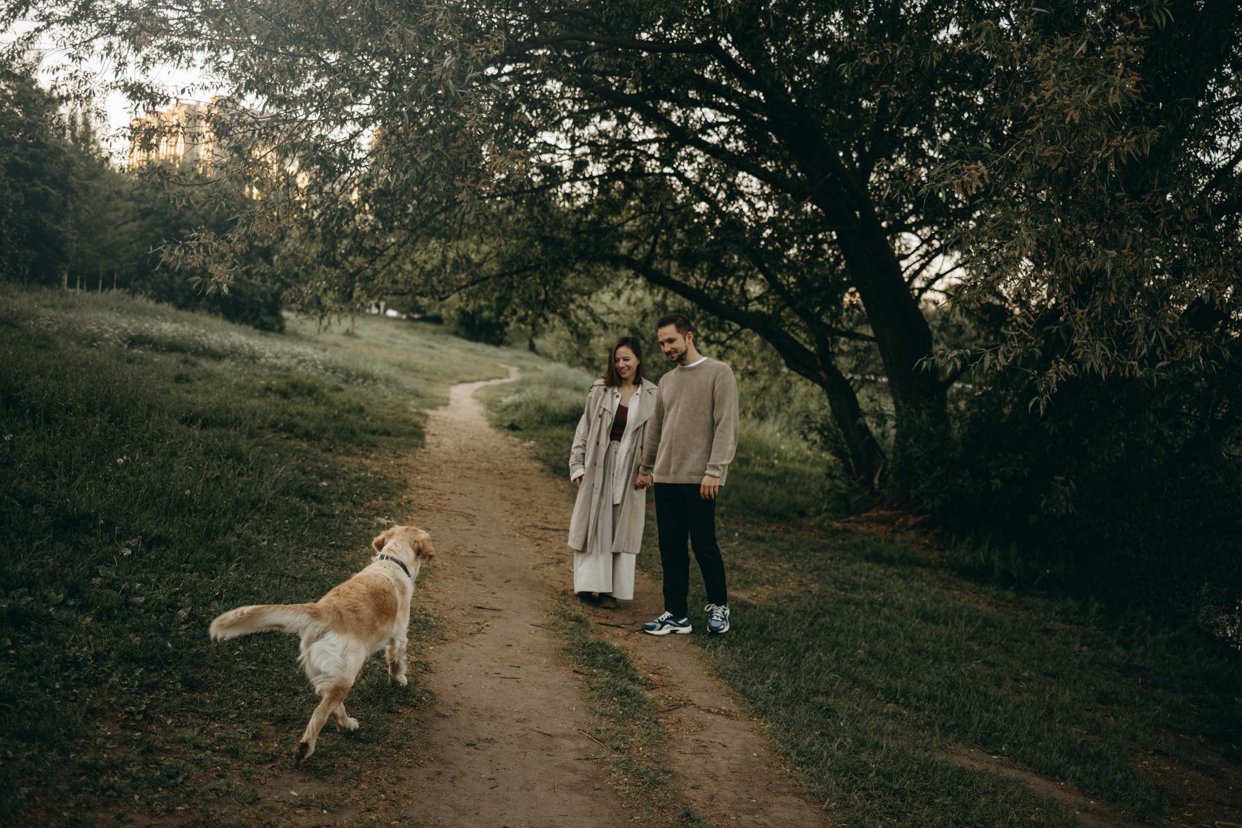 Пенни и ребята. Фотограф — Анималист | Санкт-Петербург