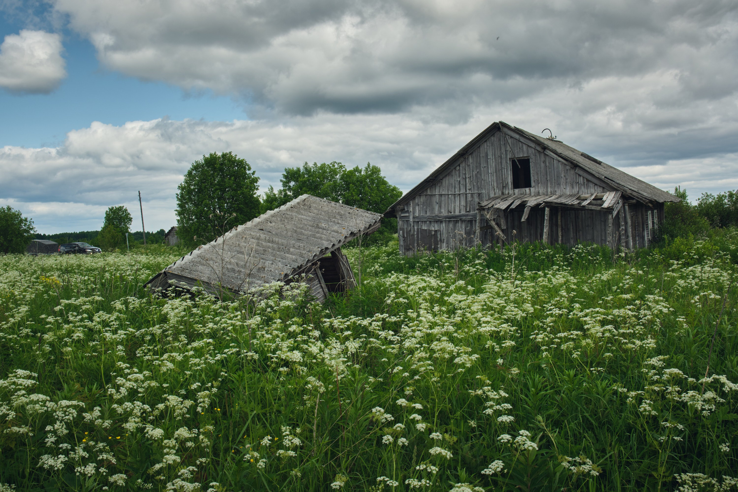 Русский север: путешествие по Карелии, Архангельской и Вологодской областям