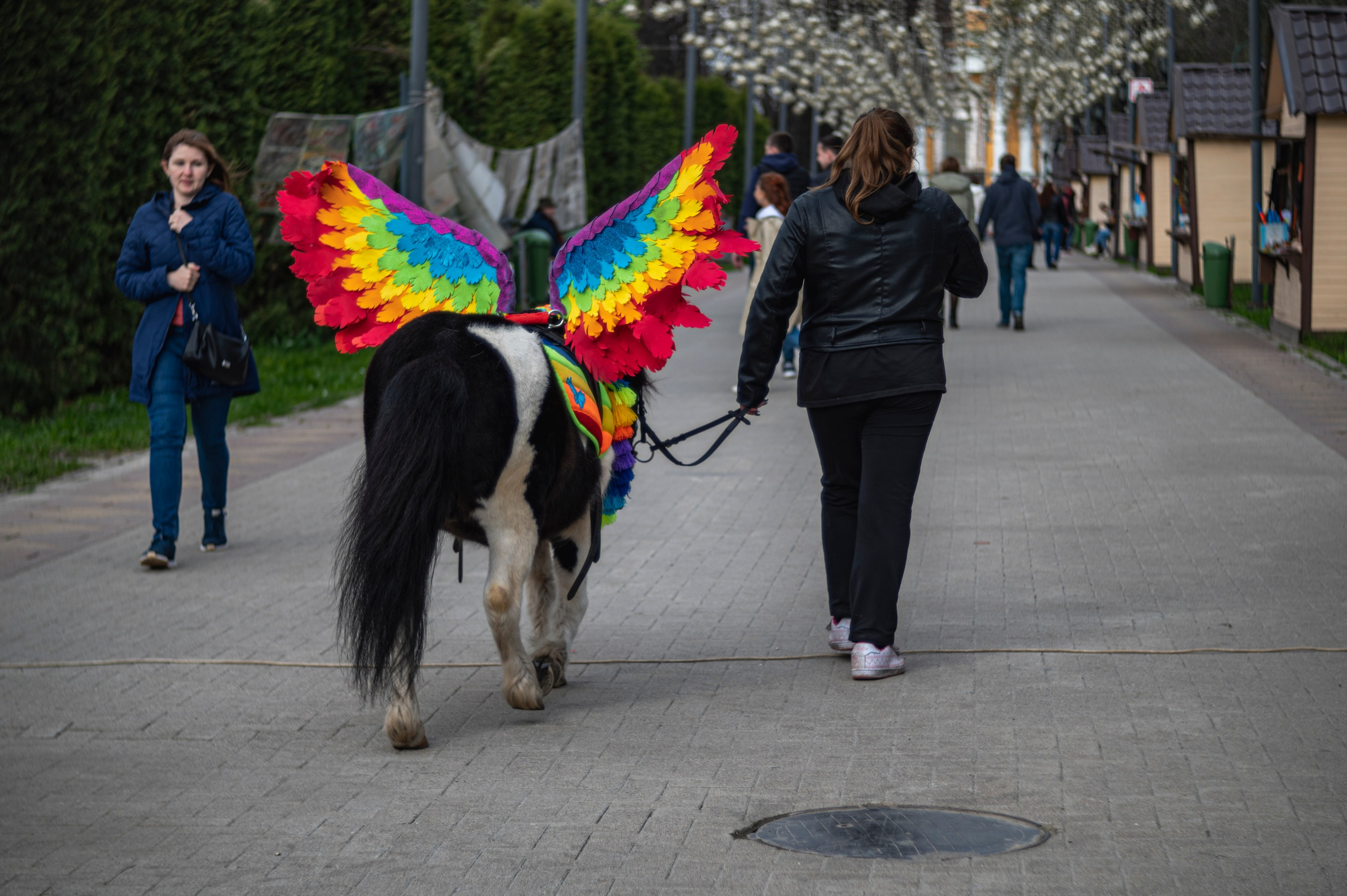 Рязань. Май 2022. Фотограф Роман Адлер