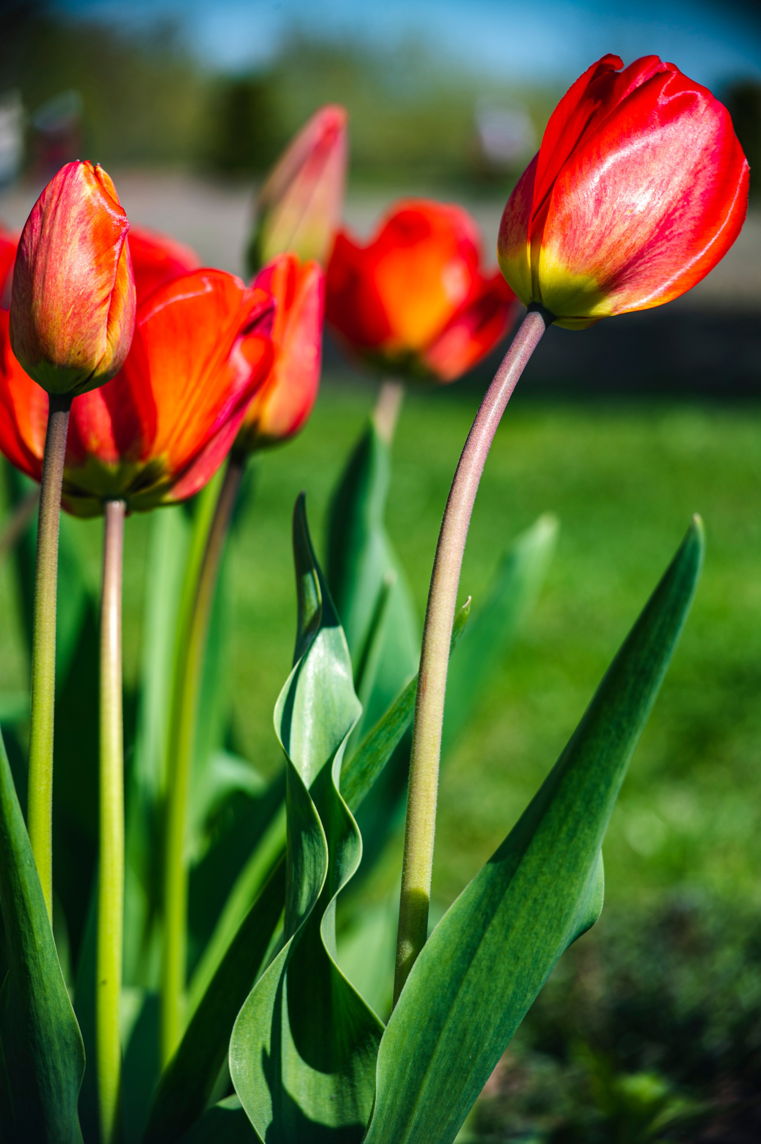 Муром. Май 2022. Фотограф Роман Адлер