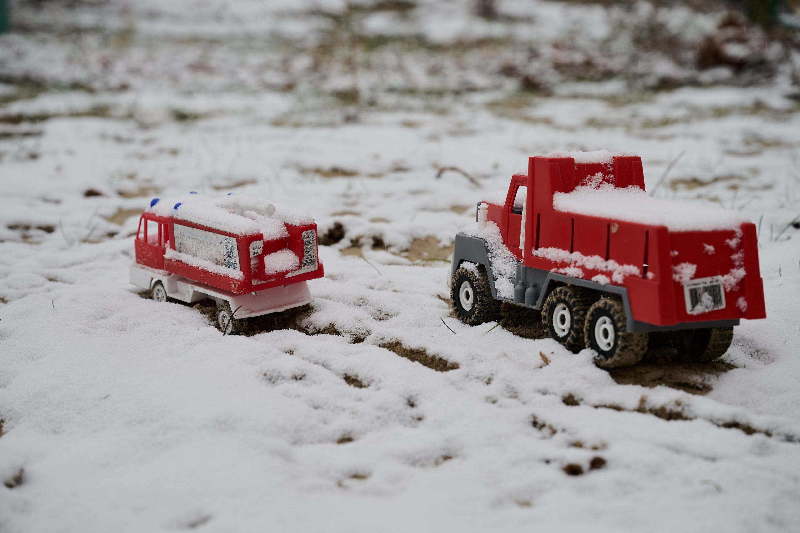Северодонецк (Луганская область). Декабрь 2024. Фотограф Роман Адлер
