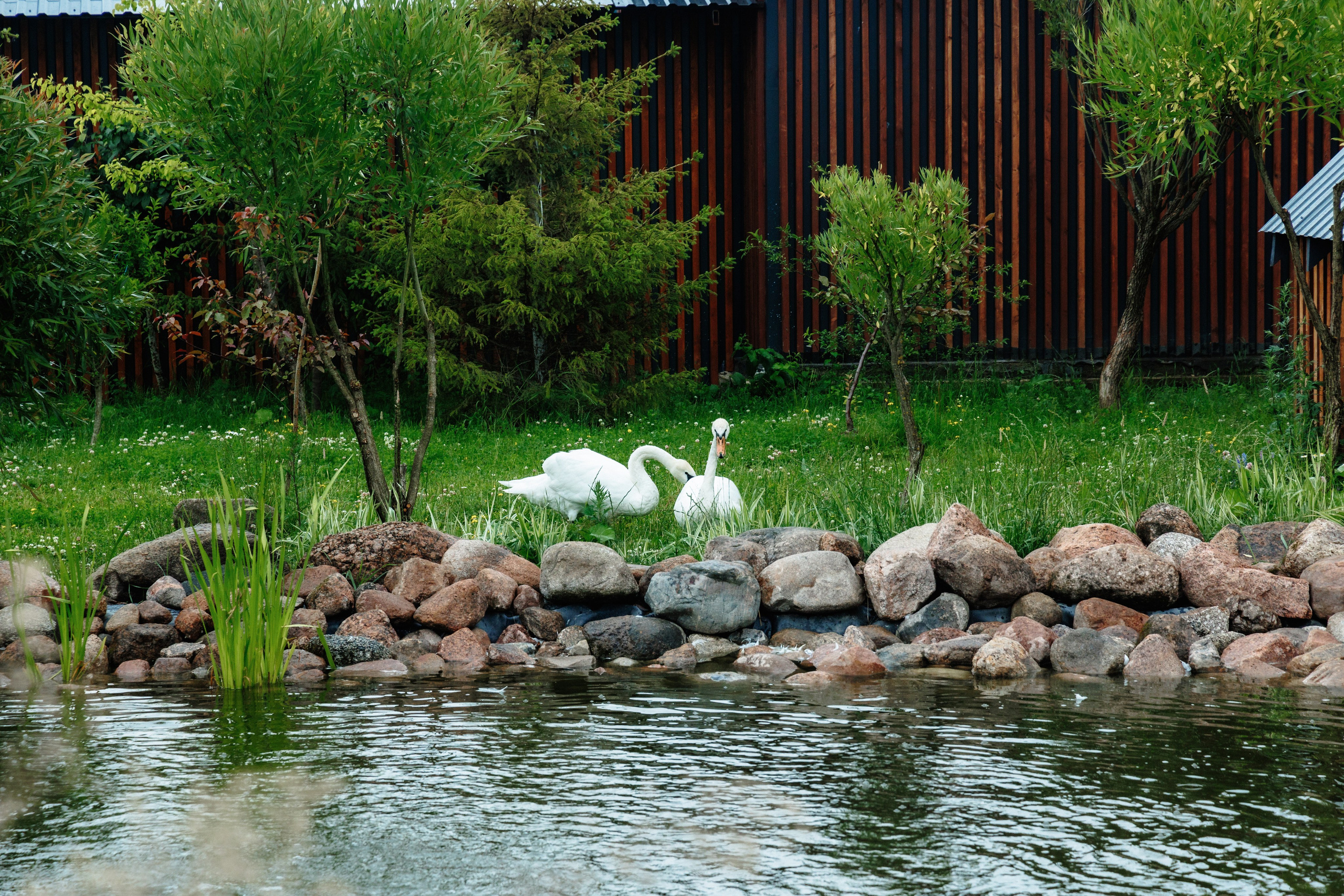 Данил и Любовь, мои фото с этого праздника. я был гость). Свадебный и семейный фотограф в г. Волхов Алексей Кочерыжкин