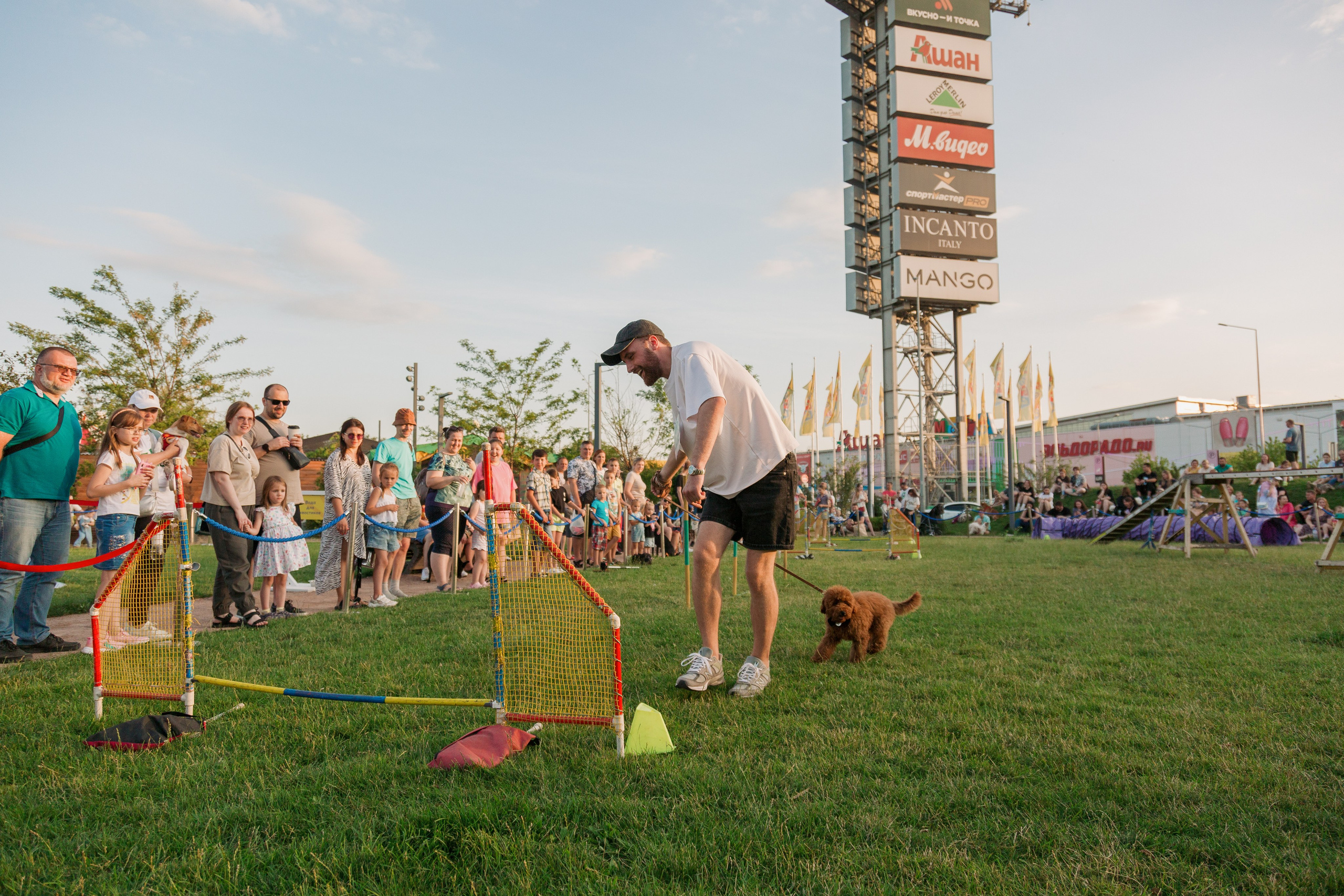 Dog Fest 2024. Главная