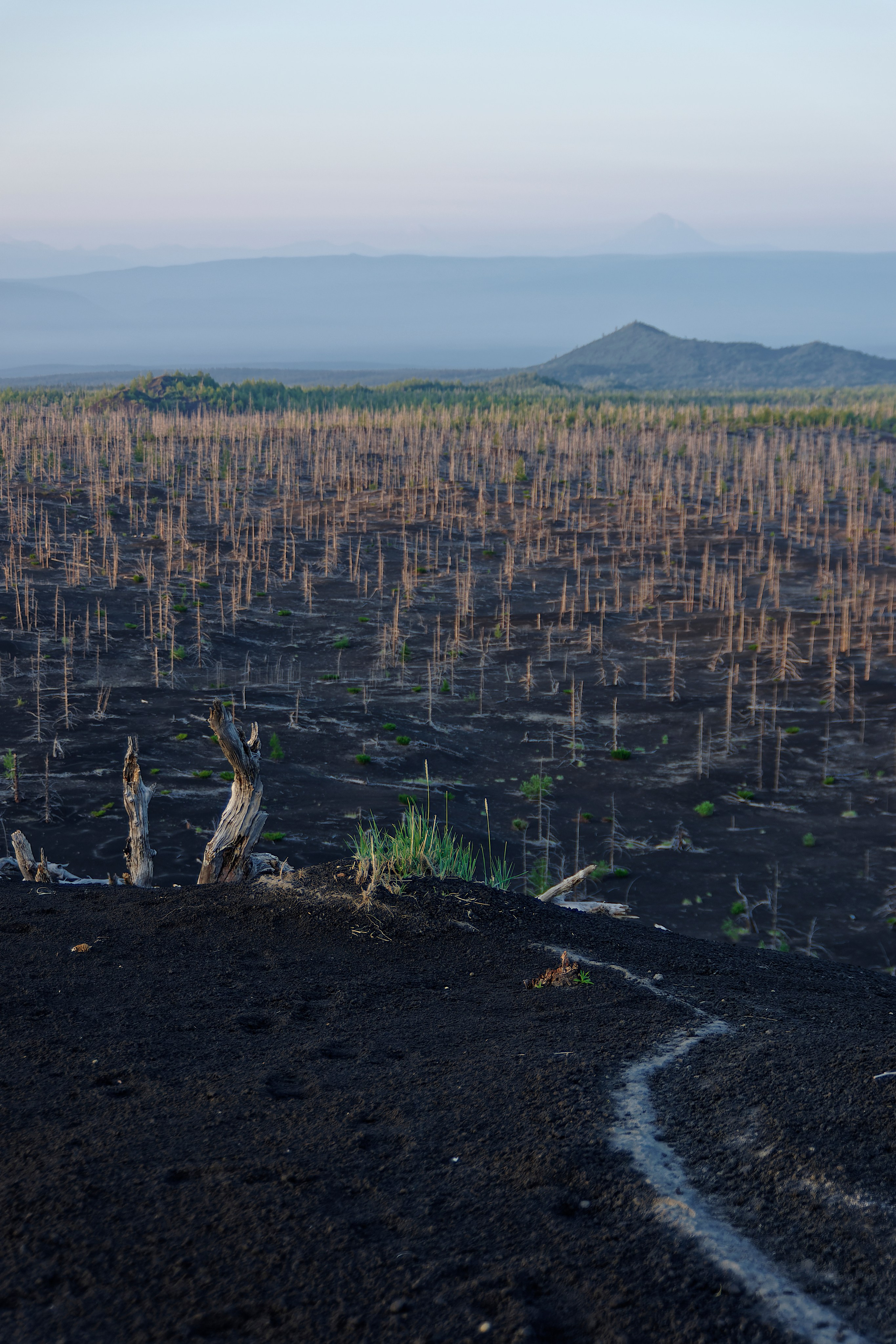 Камчатка. Фототрип. Тур?. Семоха Валерий. Фотограф