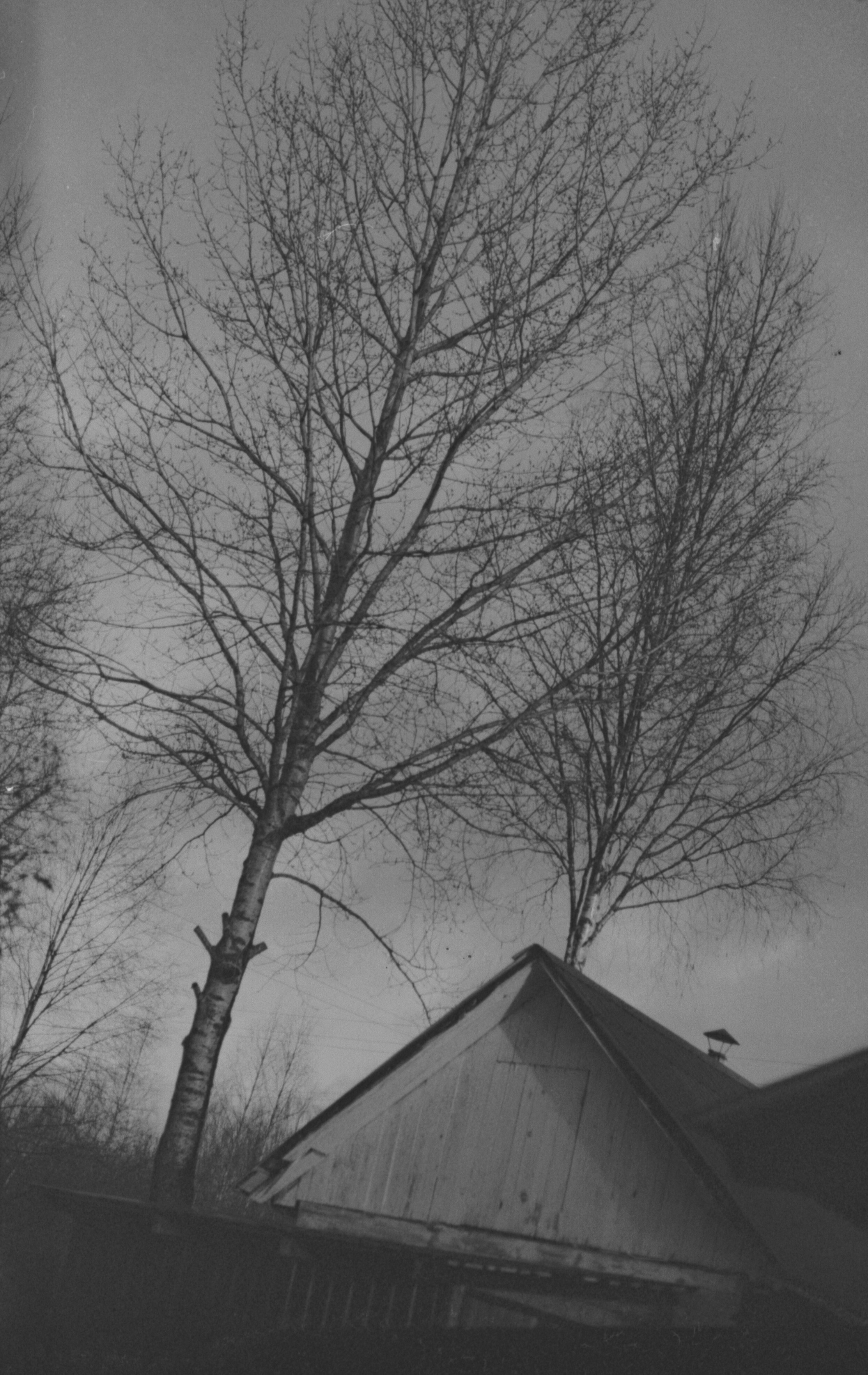 Темные времена. Татьяна Белякова — Фотохудожник | Концептуальная аналоговая фотография