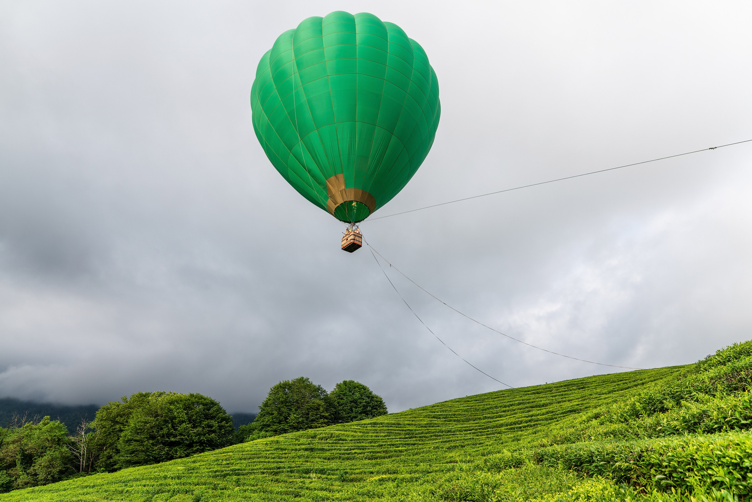 Фотограф на праздник Сочи. Фотограф Сочи