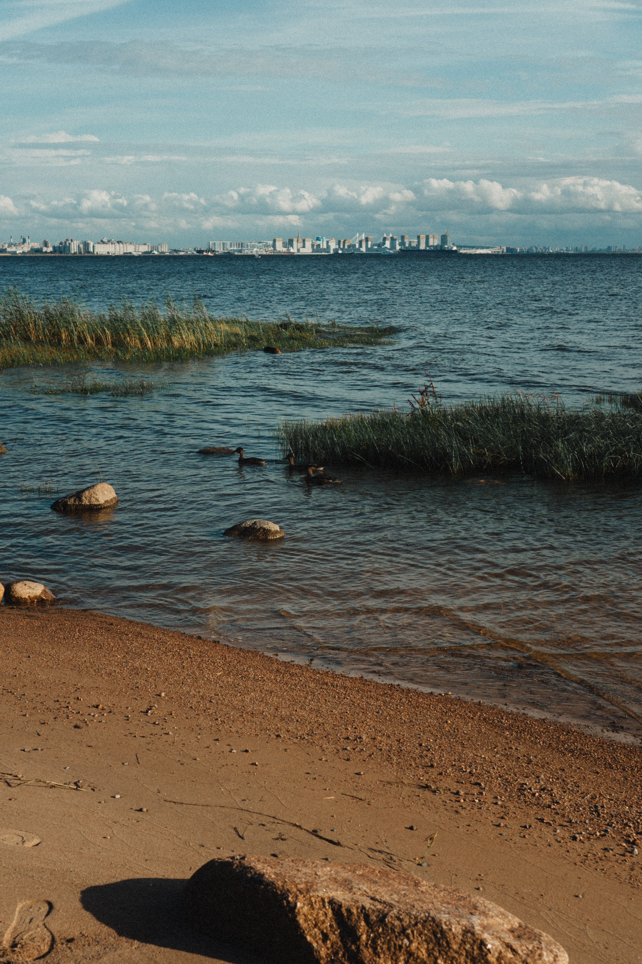 МАМА И ДОЧКА НА ФИНСКОМ ЗАЛИВЕ. Профессиональный фотограф, Санкт-Петербург — Виктория Богомолова