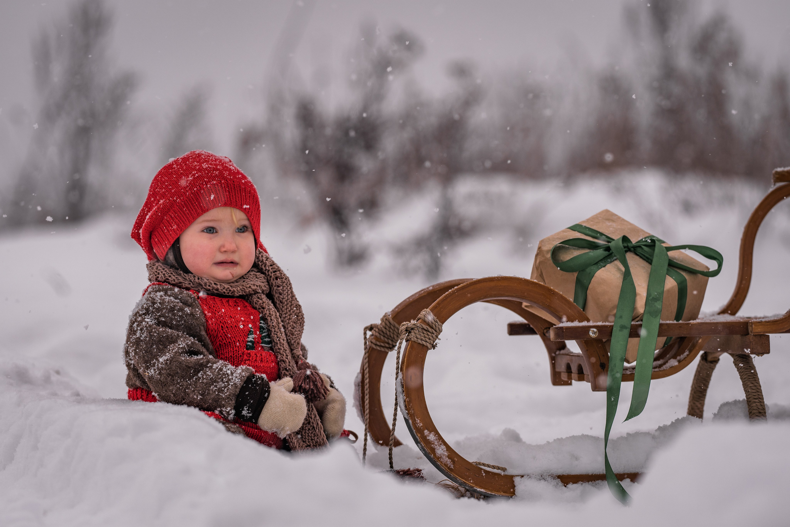 Снежная прогулка на санках. Семейный фотограф Ефремова Виктория