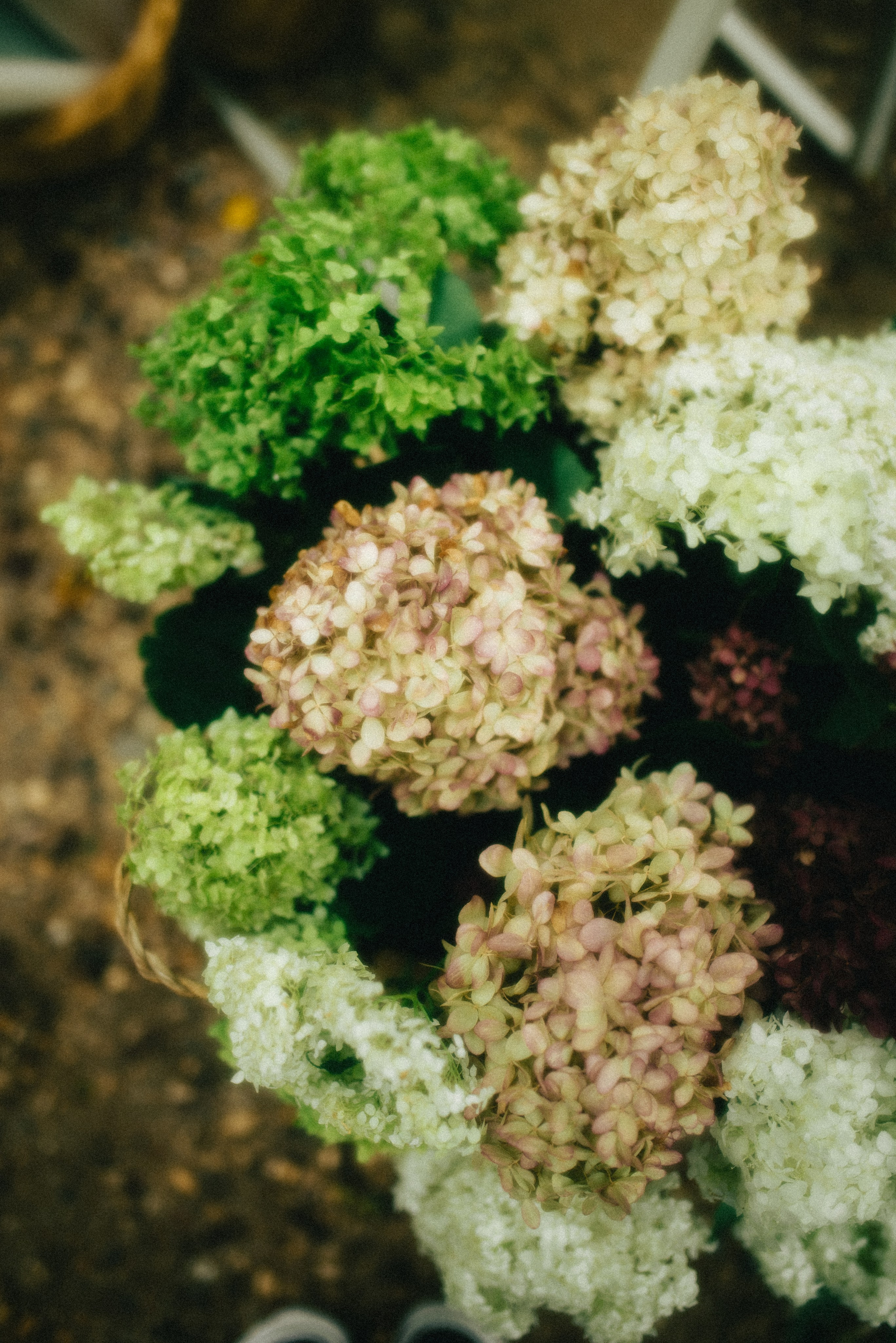 Евгений и Виолетта | Полный свадебный день. Москва. Фотограф Санкт-Петербург, Новороссийск