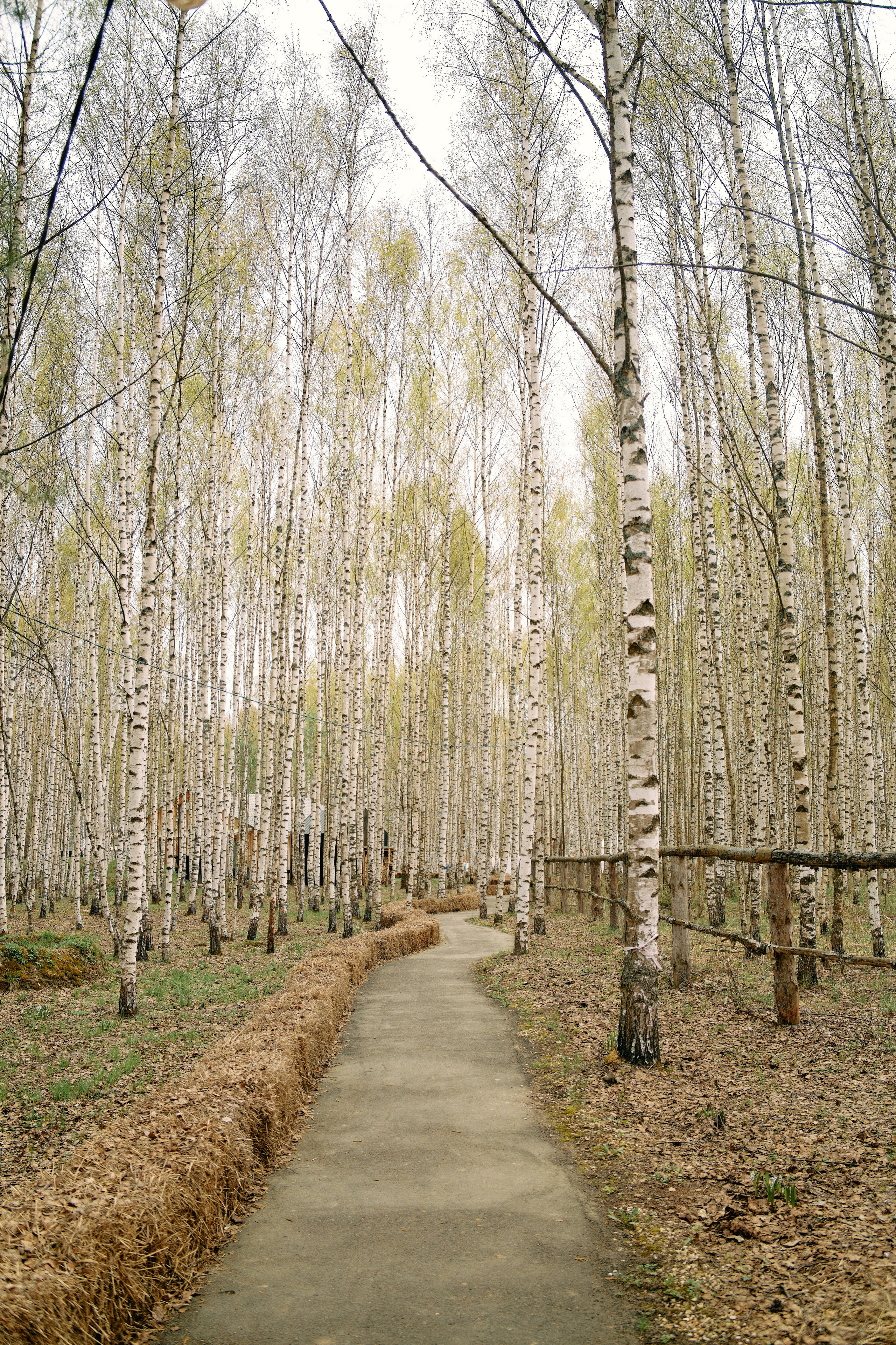 Бутик-отель Поле летом. Профессиональный Фотограф во Владимире, в Москве и в Суздале — Полина Романычева