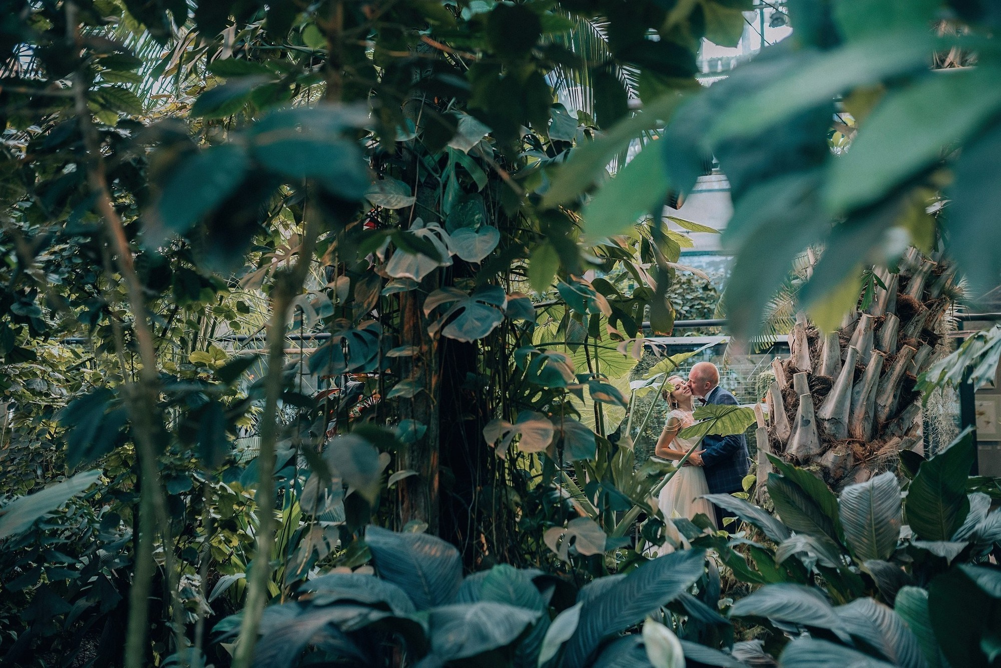 Ирина+Денис. Свадебный и репортажный фотограф Александр Родин