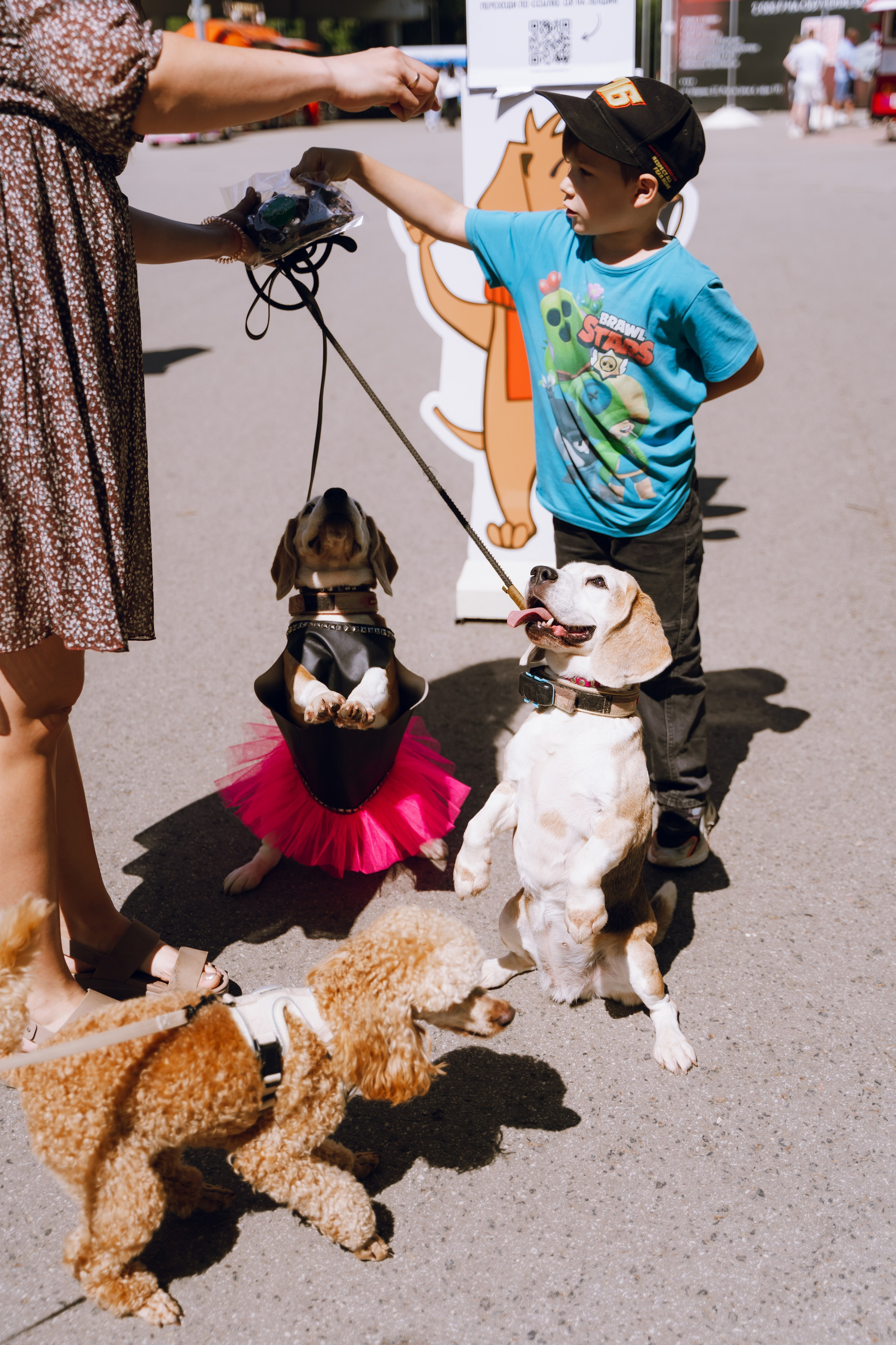 Площадка фестиваля «Мампус и его друзья» в Лесопарке 2025. Фотограф Надежда Погребняк | Рязань | Москва