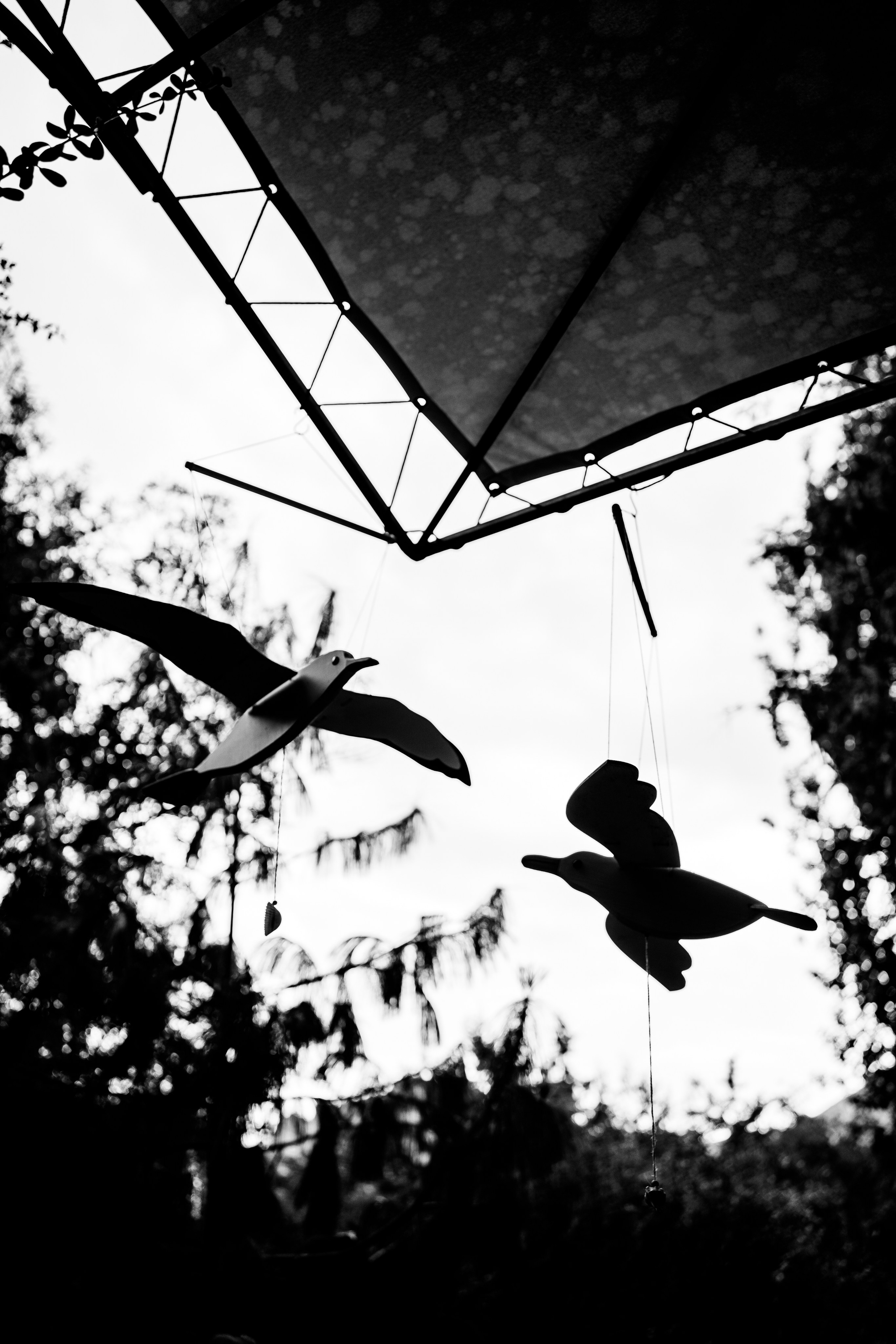 Саида. Фотограф в Москве и МО Влада Обласова