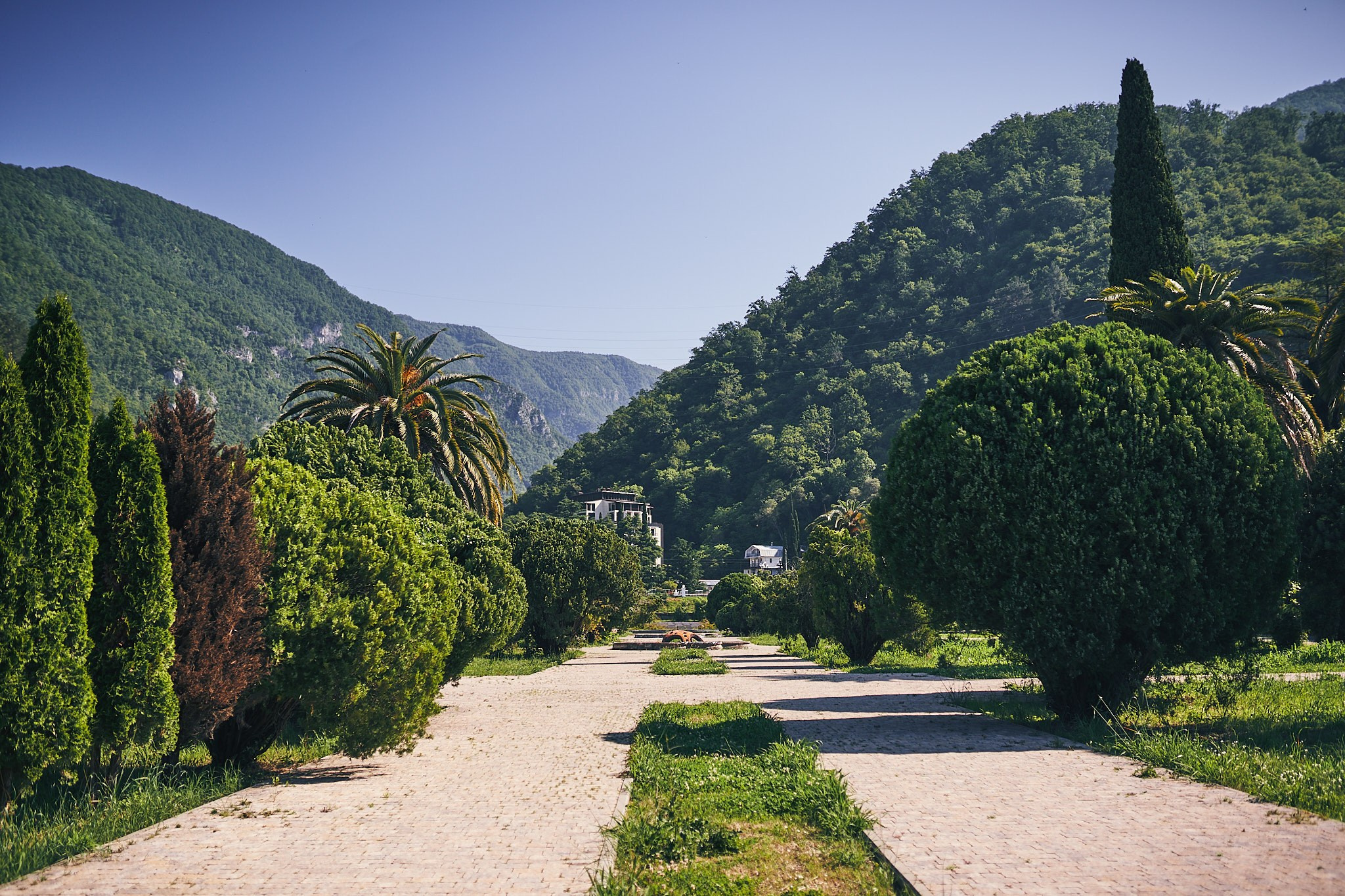 Поездка в Пицунду на концерт органной музыки. Фотограф в Сочи Катя Гончарова