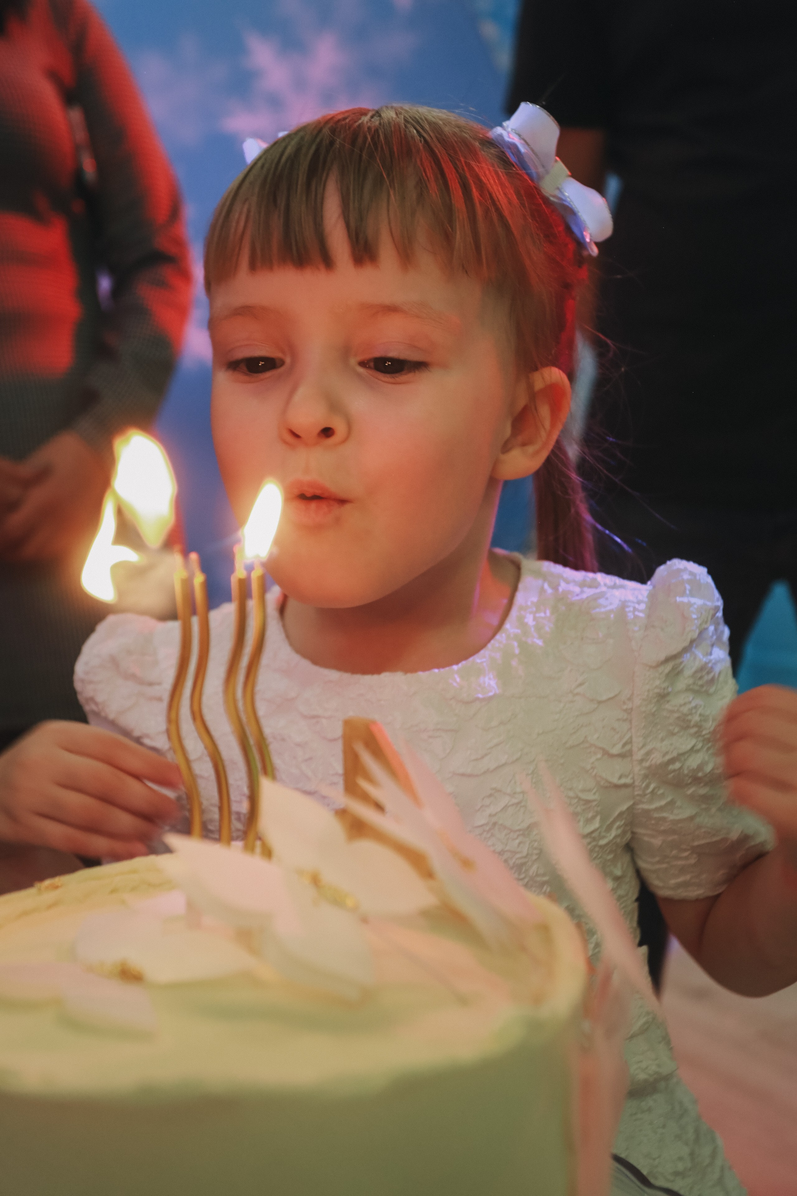 День рождения Братья Гримм. Детский фотограф, Волгоград