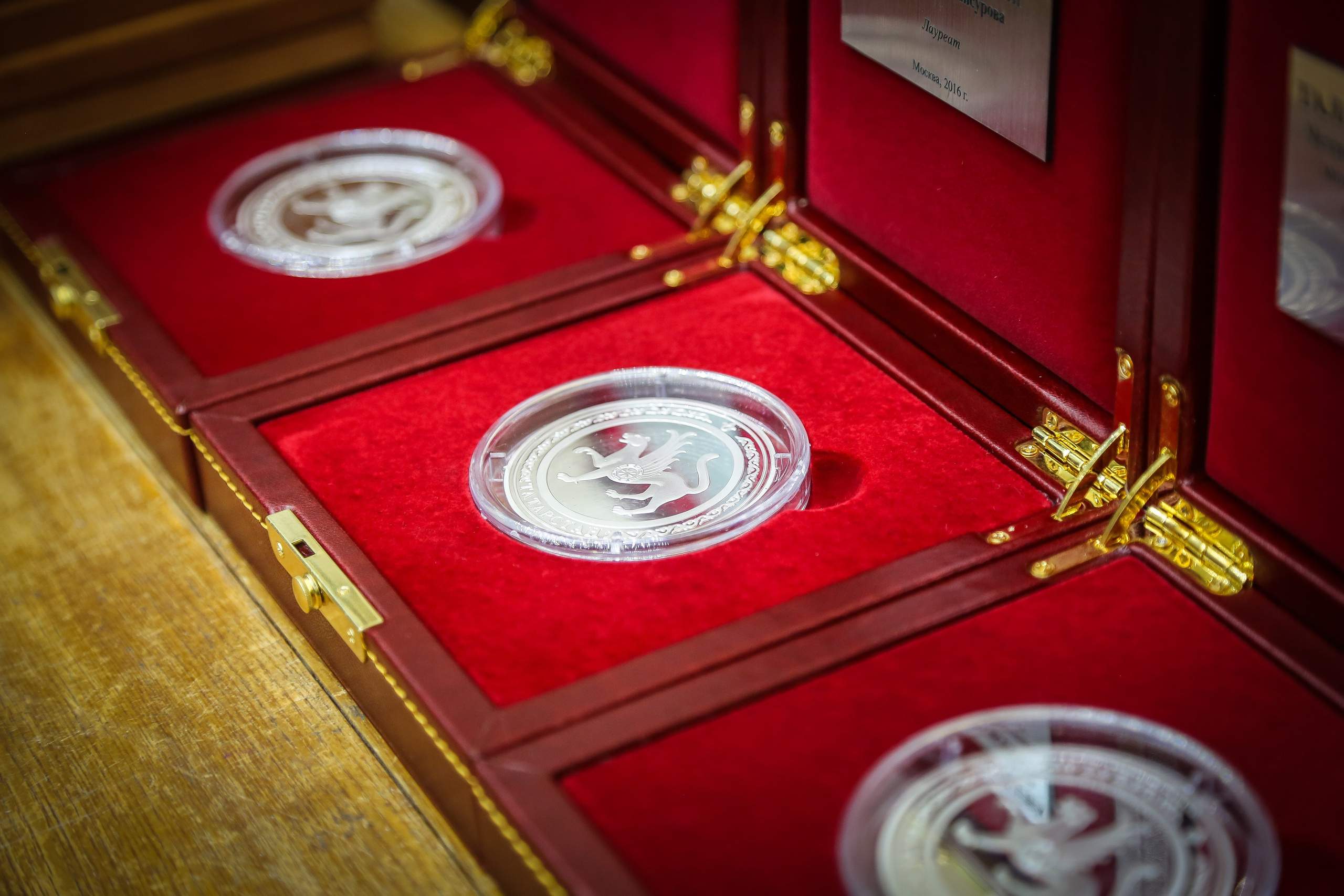 Четвертый фестиваль «Таланты Содружества». Дарья Письменюк / Darya Leitstern — фотограф, музыкант, журналист, путешественник