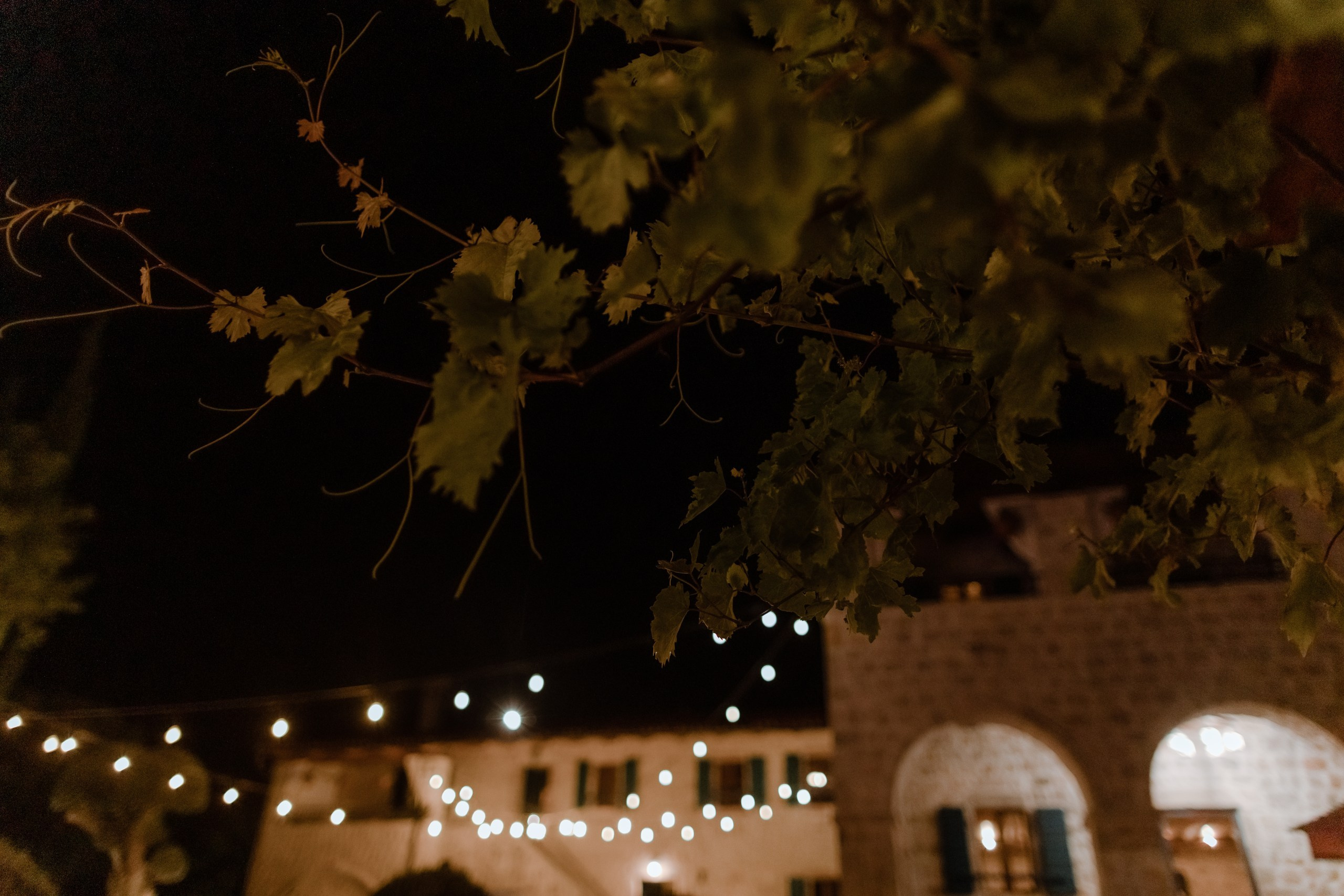 Julie and George. Elopement Wedding Photographer